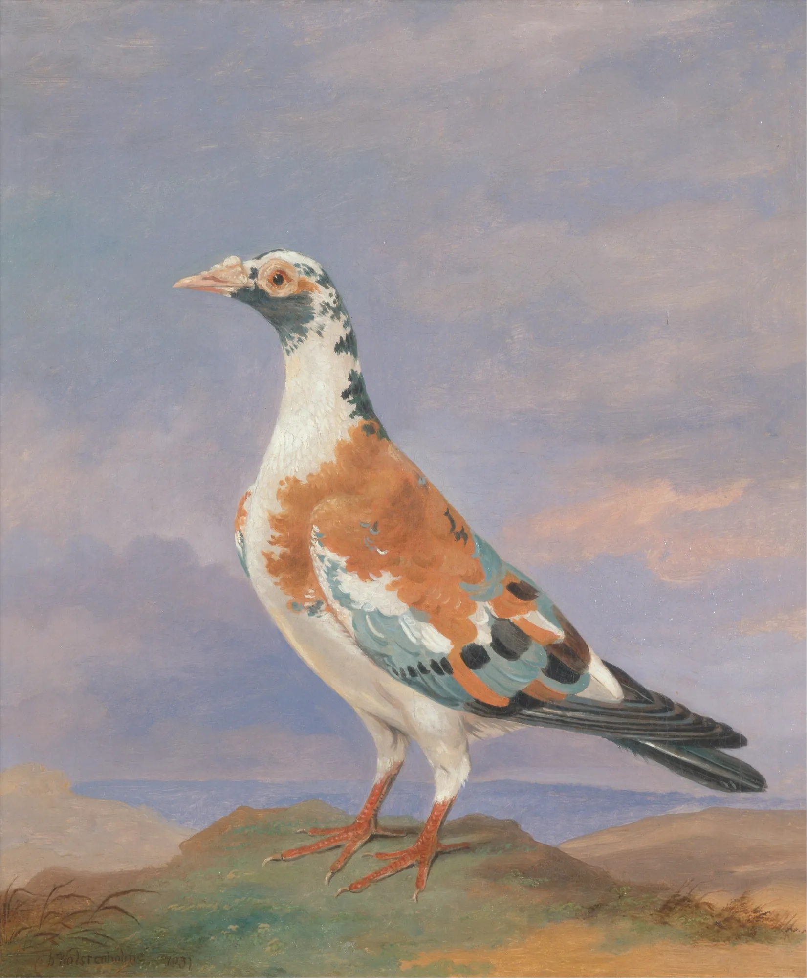 Studies of a Carrier Pigeon