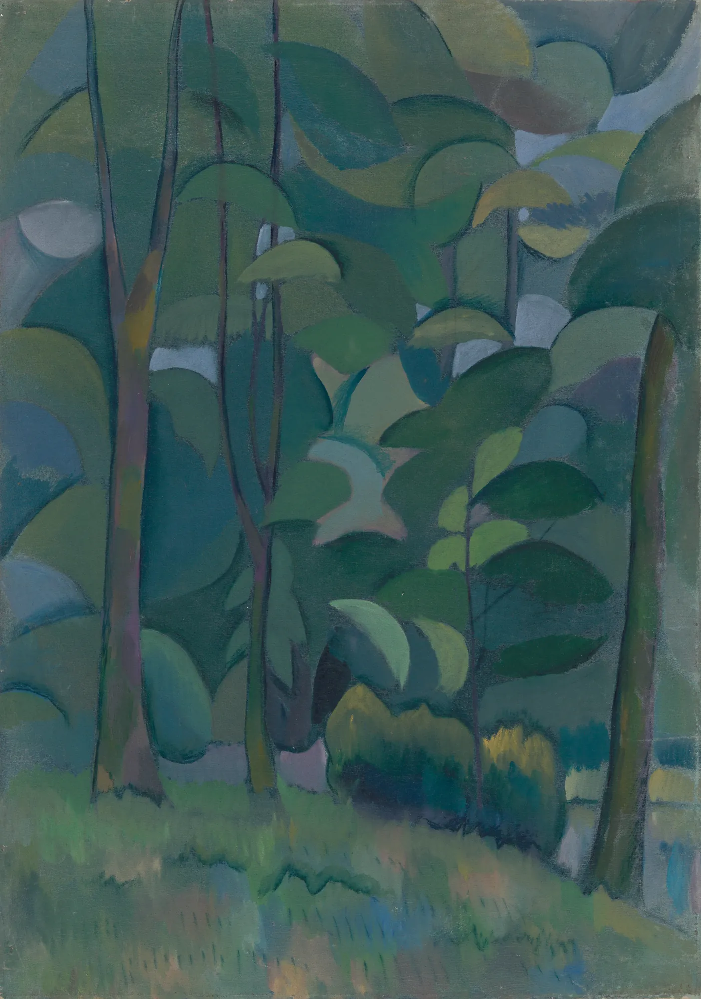 Forest