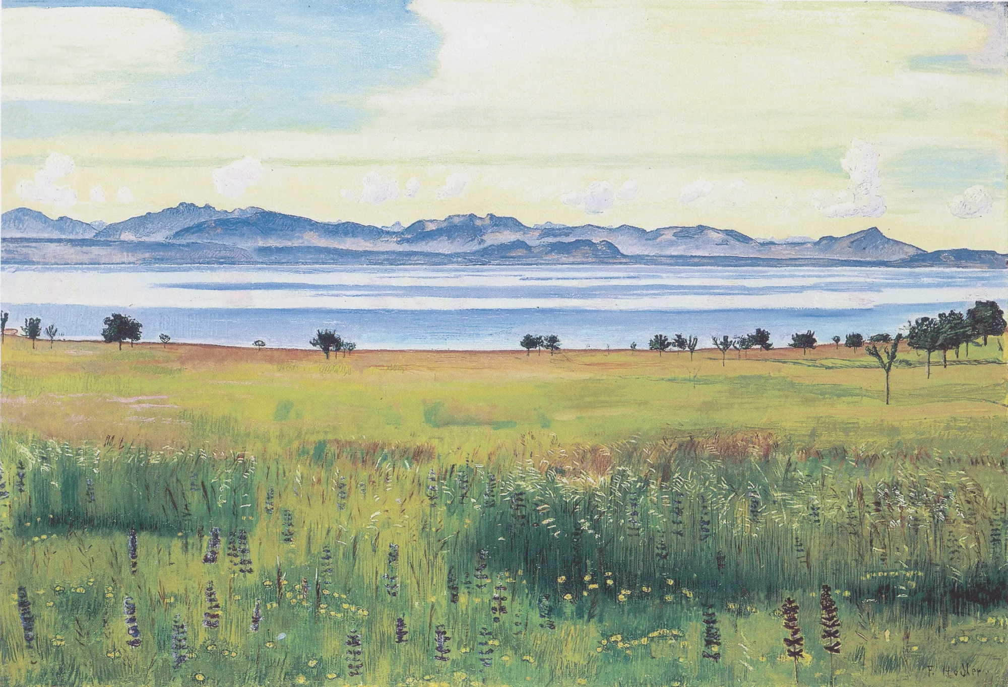 Lake Geneva from Saint-Prex Lake Geneva from Saint-Prex by Ferdinand Hodler. A wide-angle landscape painting featuring a wildflower meadow in the foreground looking across the blue waters of Lake Geneva toward distant mountains.