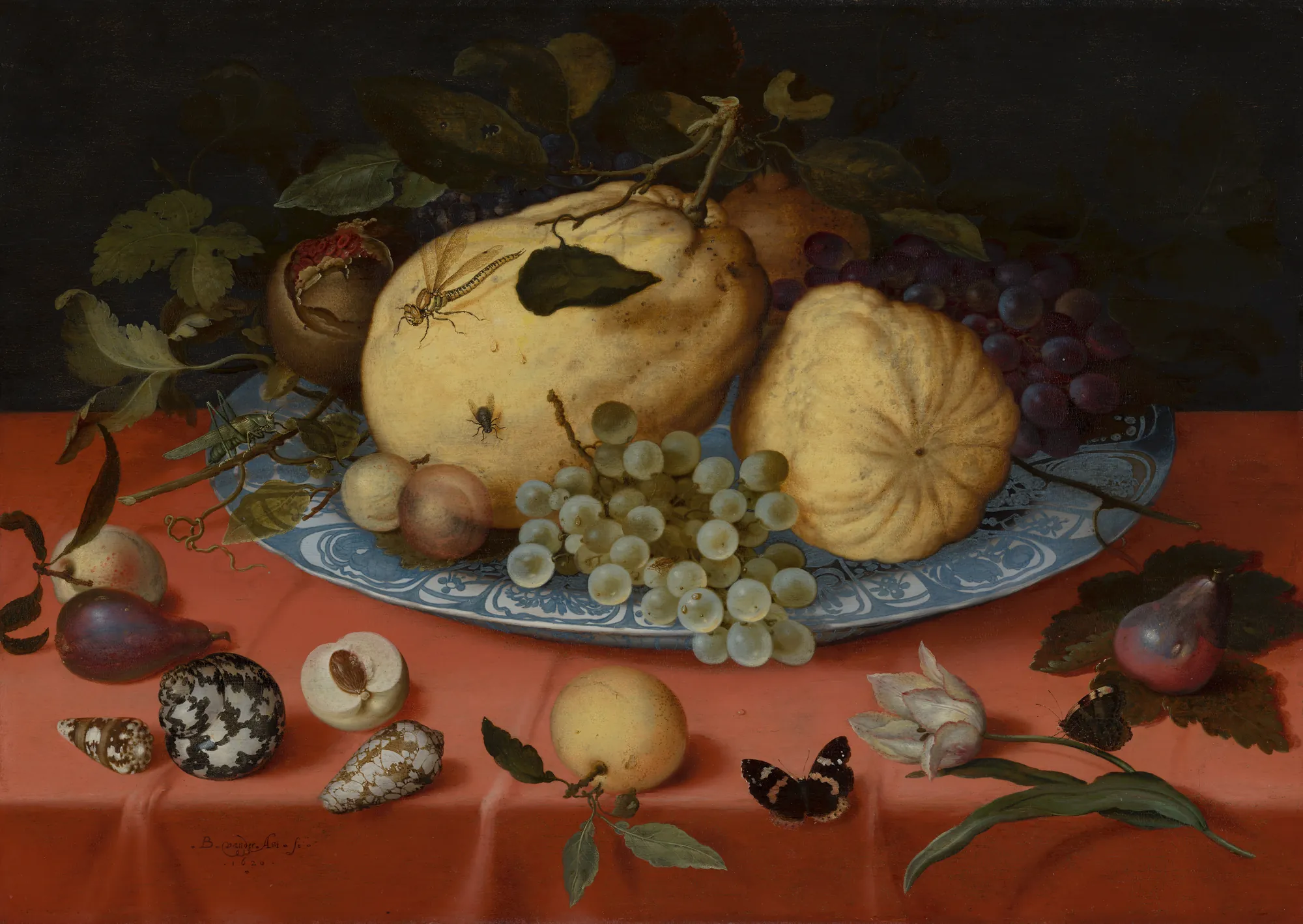 Still Life with Fruits, Shells, and Tulip