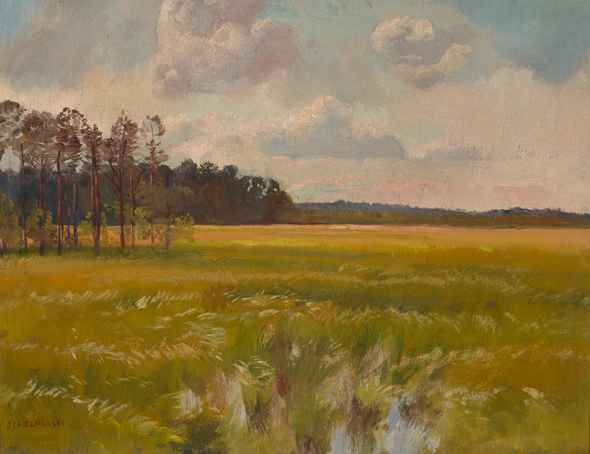Meadow by the Forest
