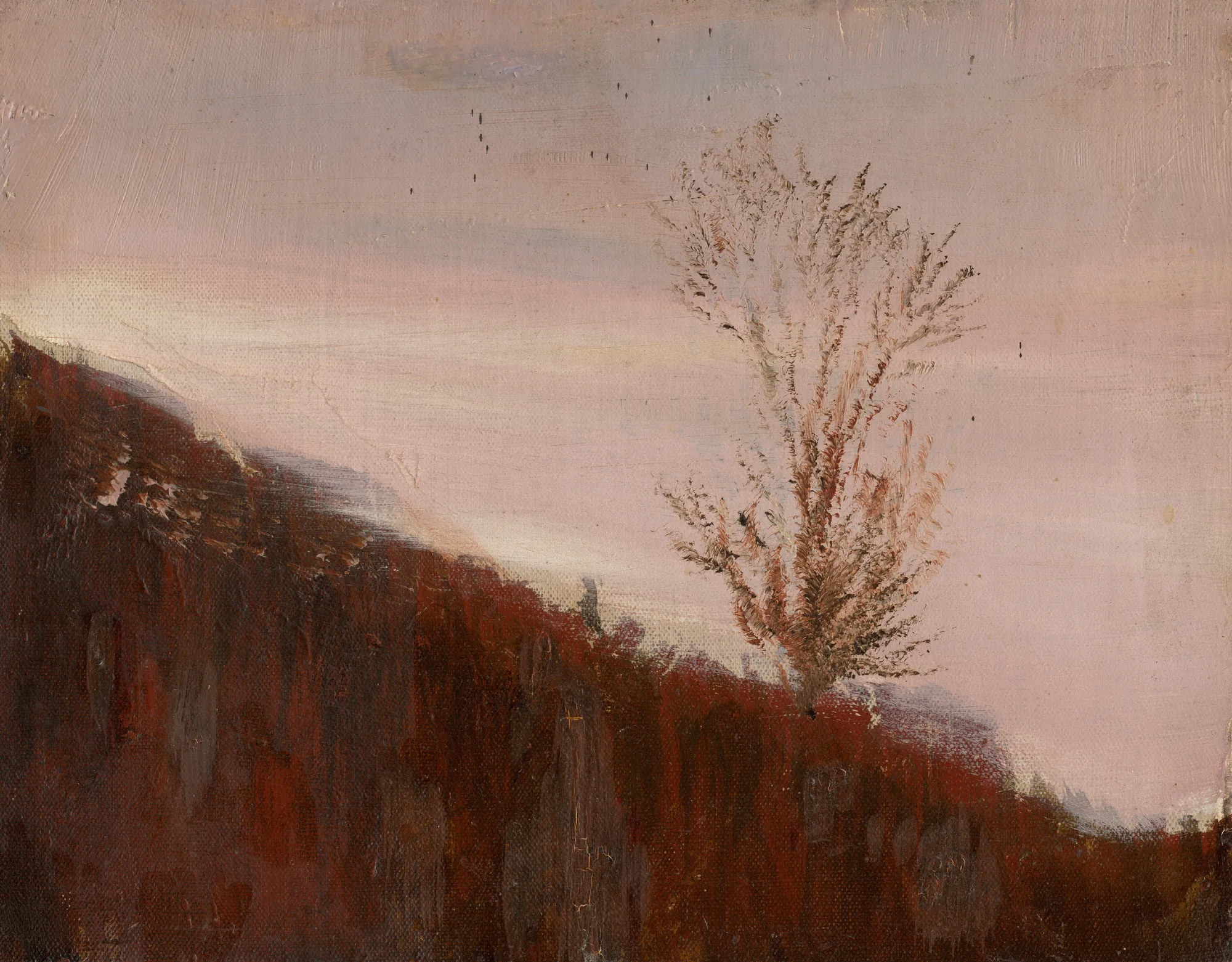 Autumn Hillside with Trees