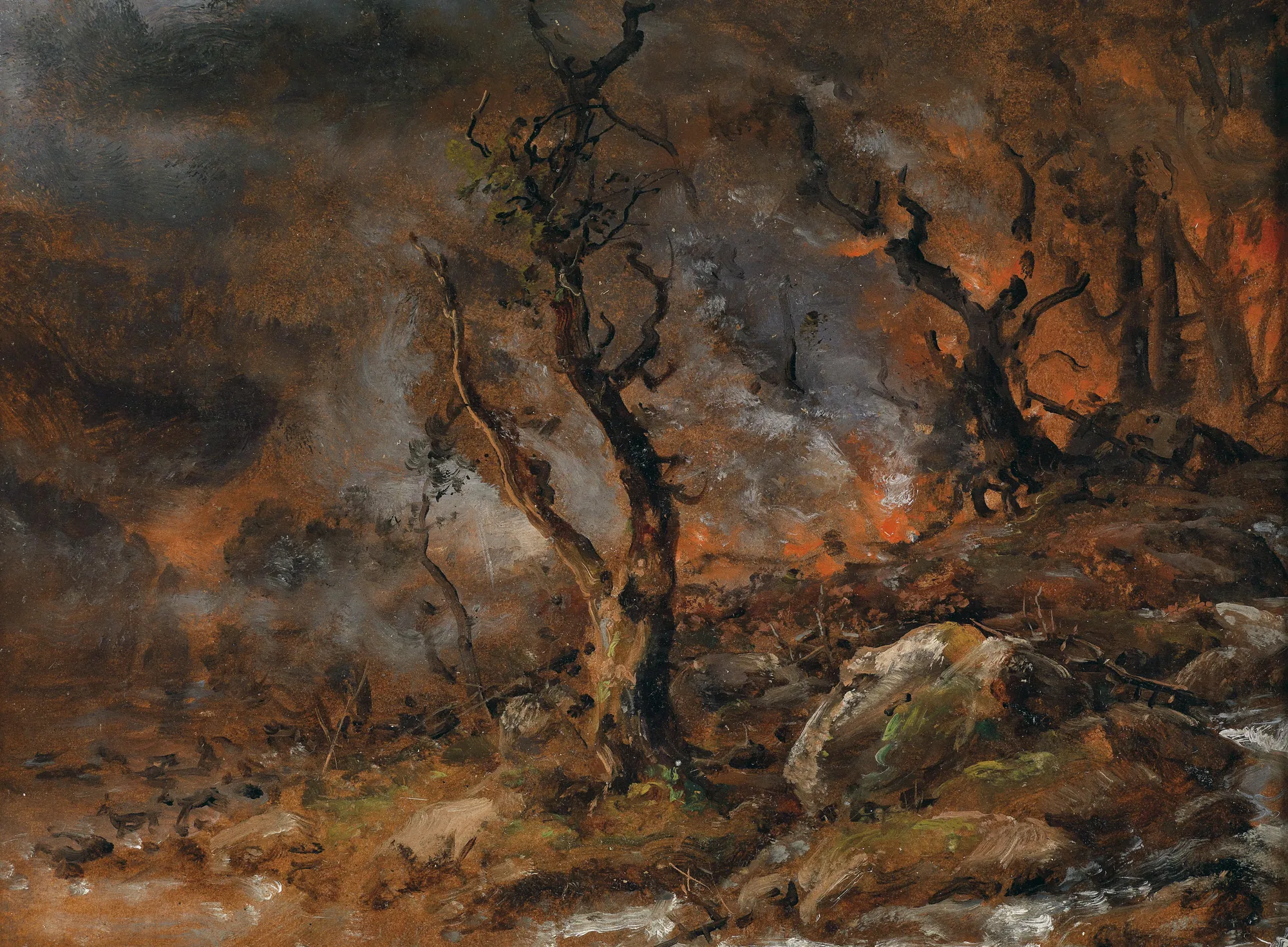 Woods with a Brush Fire