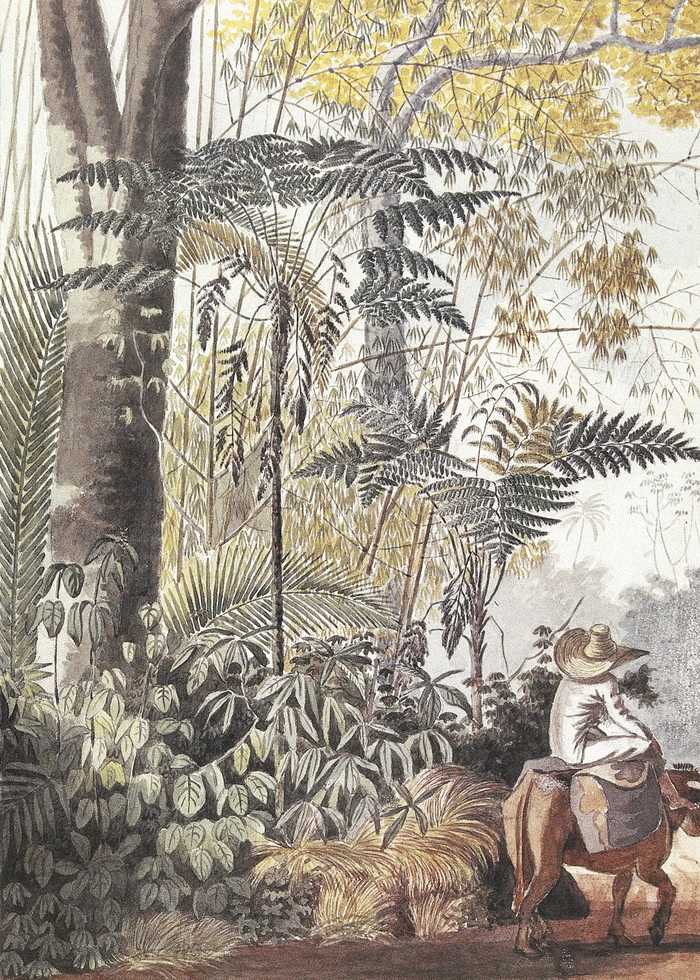 Samanbaya et Guaytivoca