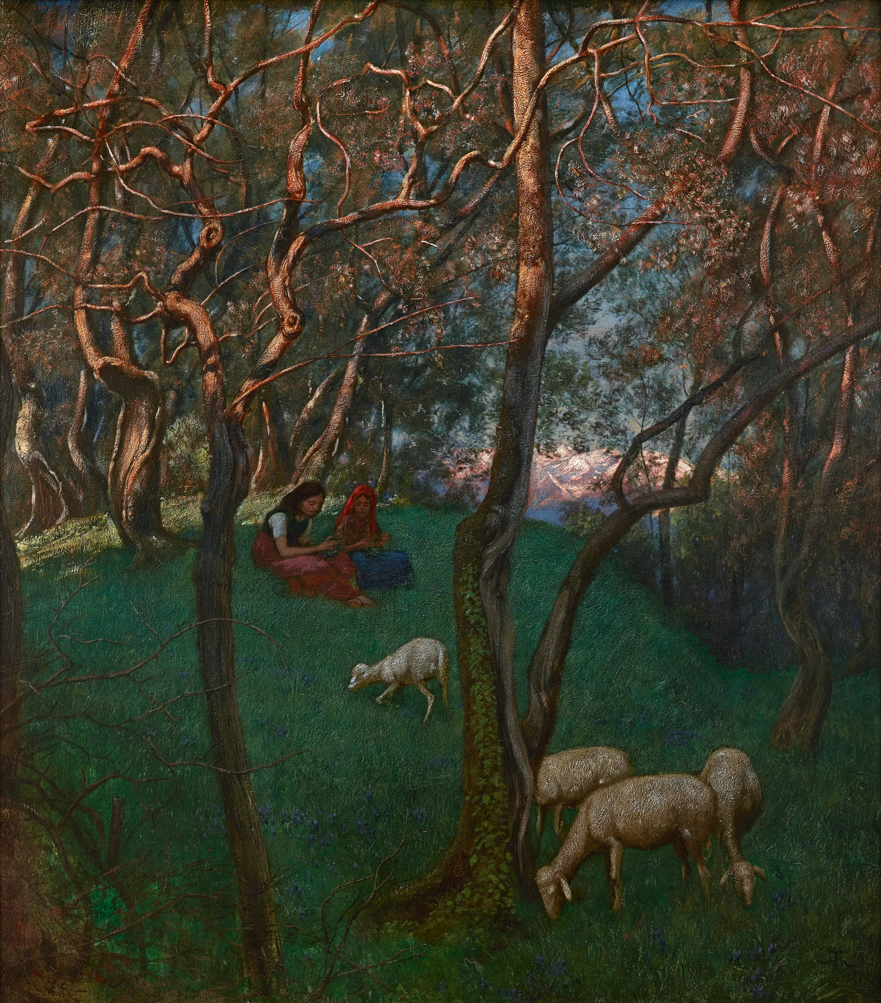 Olive Grove at Lake Garda