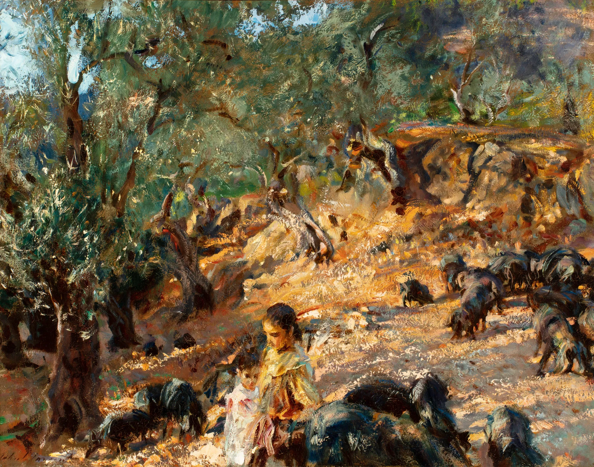 Under the Olives