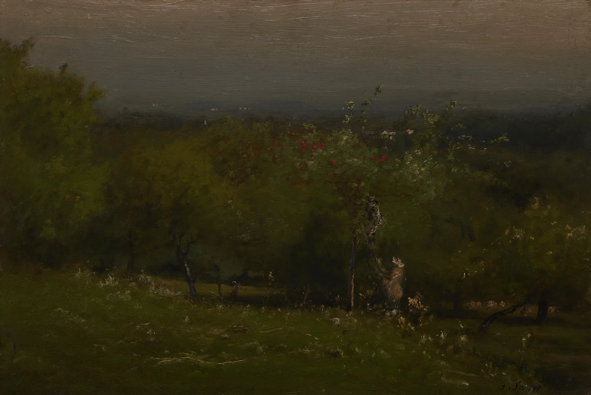 Apple Orchard