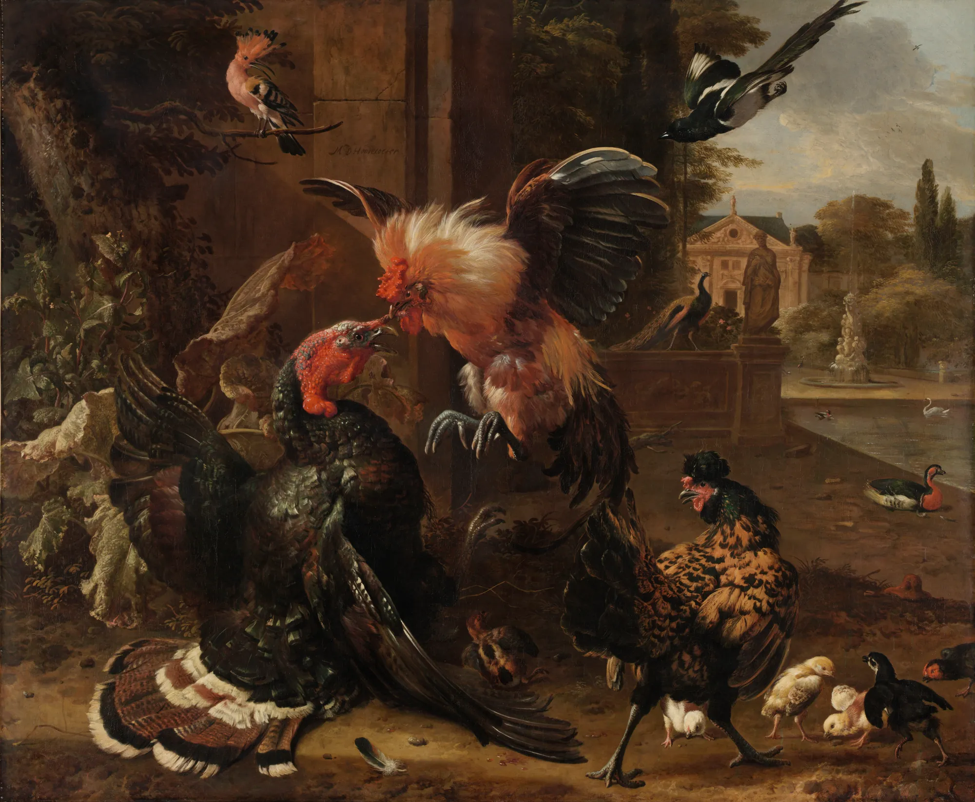 A Rooster and Turkey Fighting A Rooster and Turkey Fighting by Melchior d'Hondecoeter. A dynamic struggle between a white-feathered rooster and a dark turkey in a garden setting, surrounded by other birds and a classical architectural backdrop.