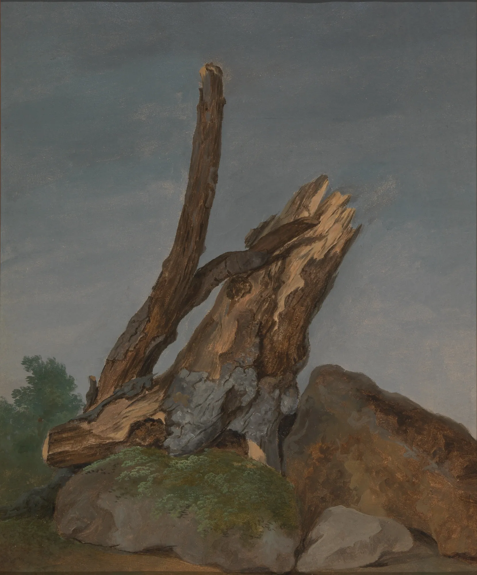 Study of Rocks and Branches