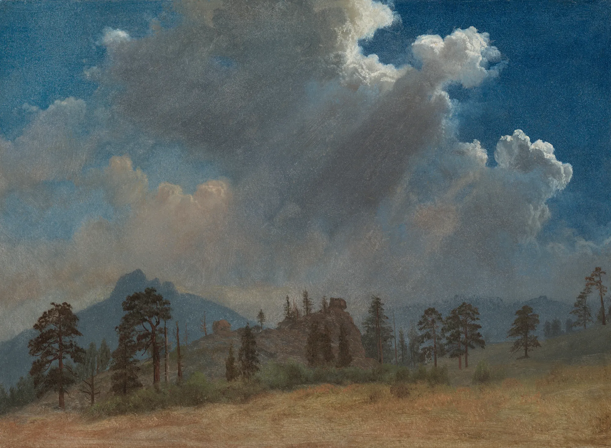 Fir Trees and Storm Clouds Fir Trees and Storm Clouds by Albert Bierstadt. A line of fir trees perched on a rocky ridge under a vast, towering bank of dark and light-edged storm clouds.