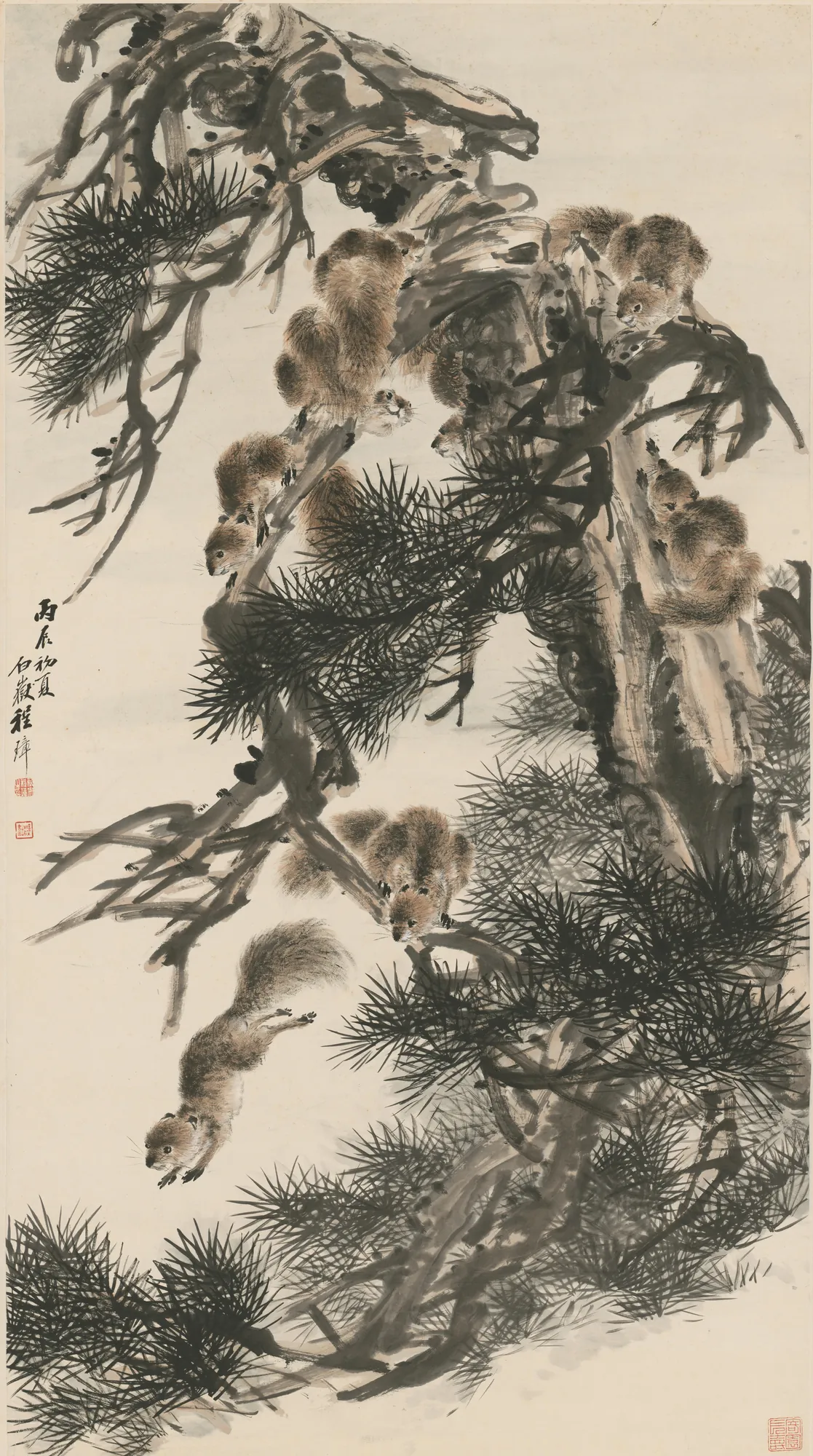 Squirrels in a Pine Tree