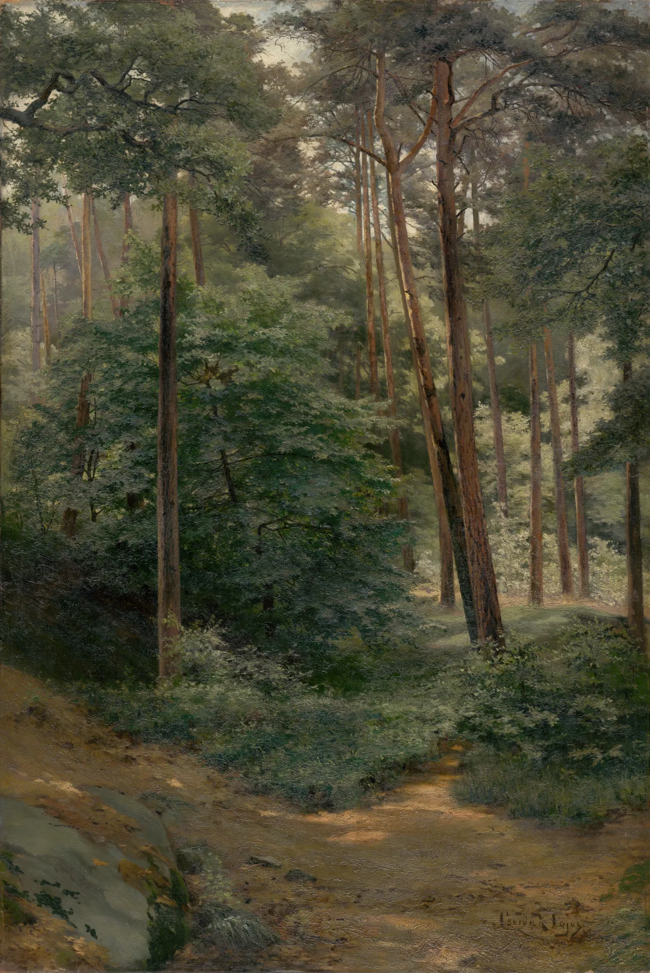 Forest
