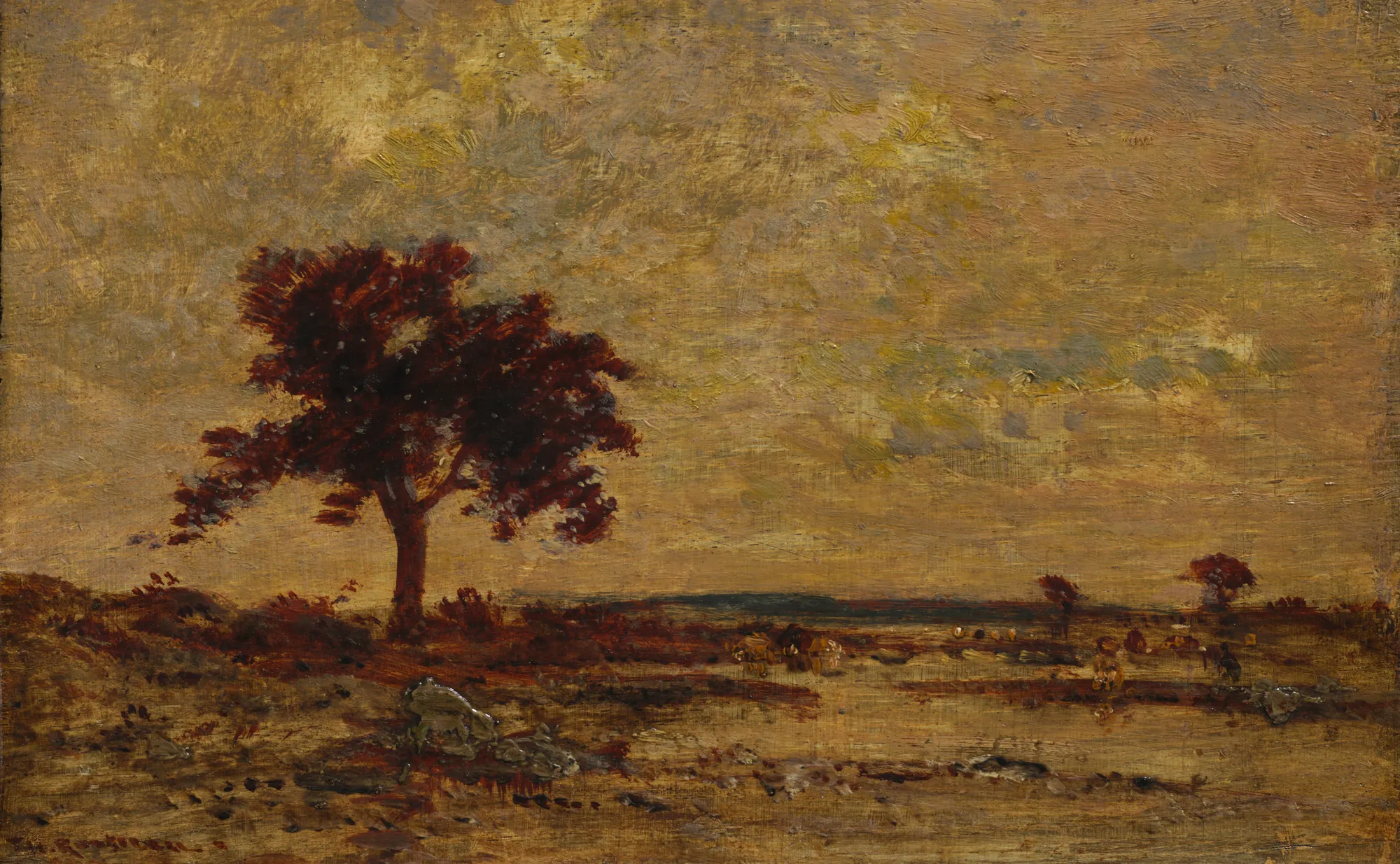 Marshlands