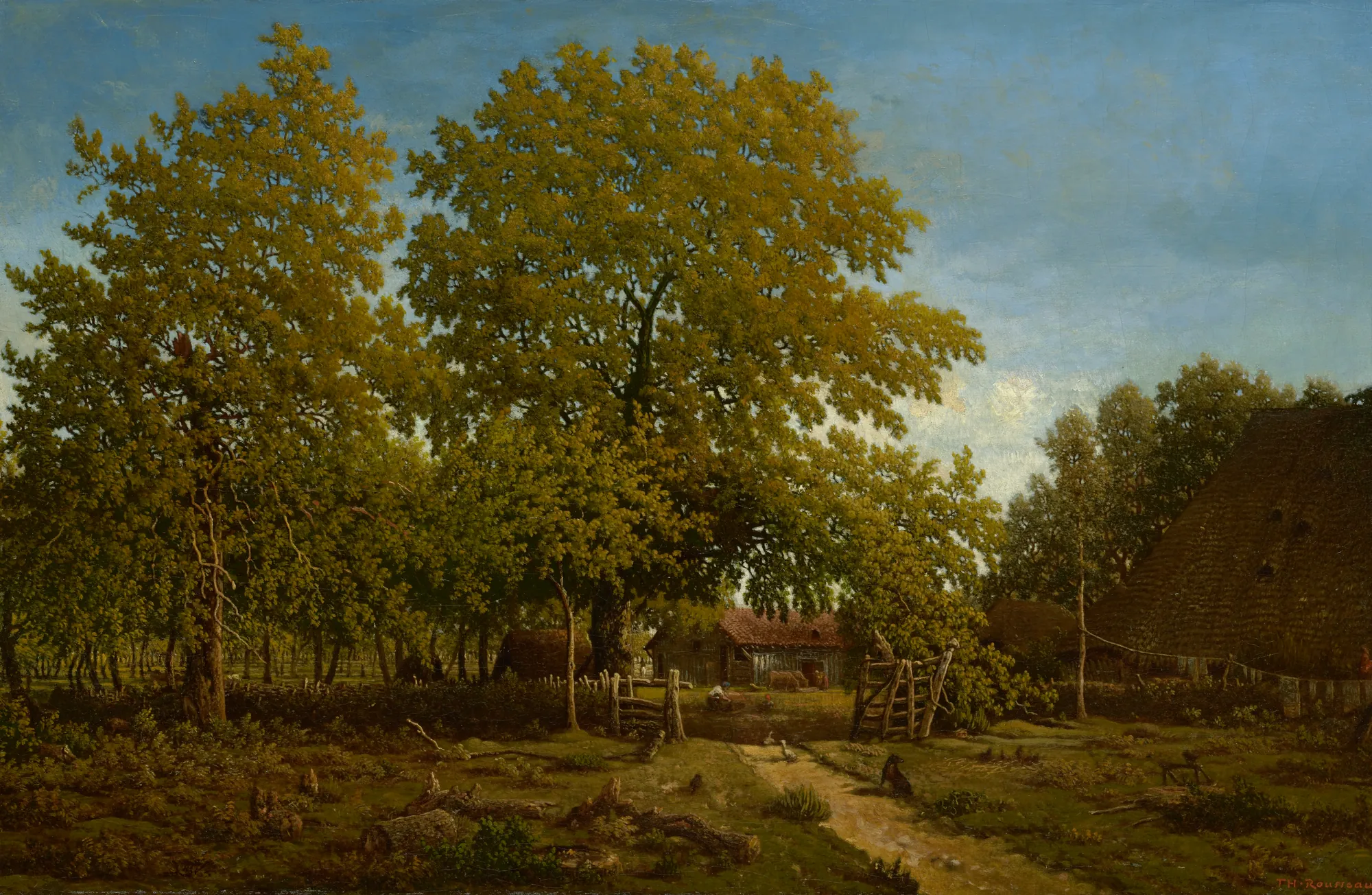 Farm in the Landes