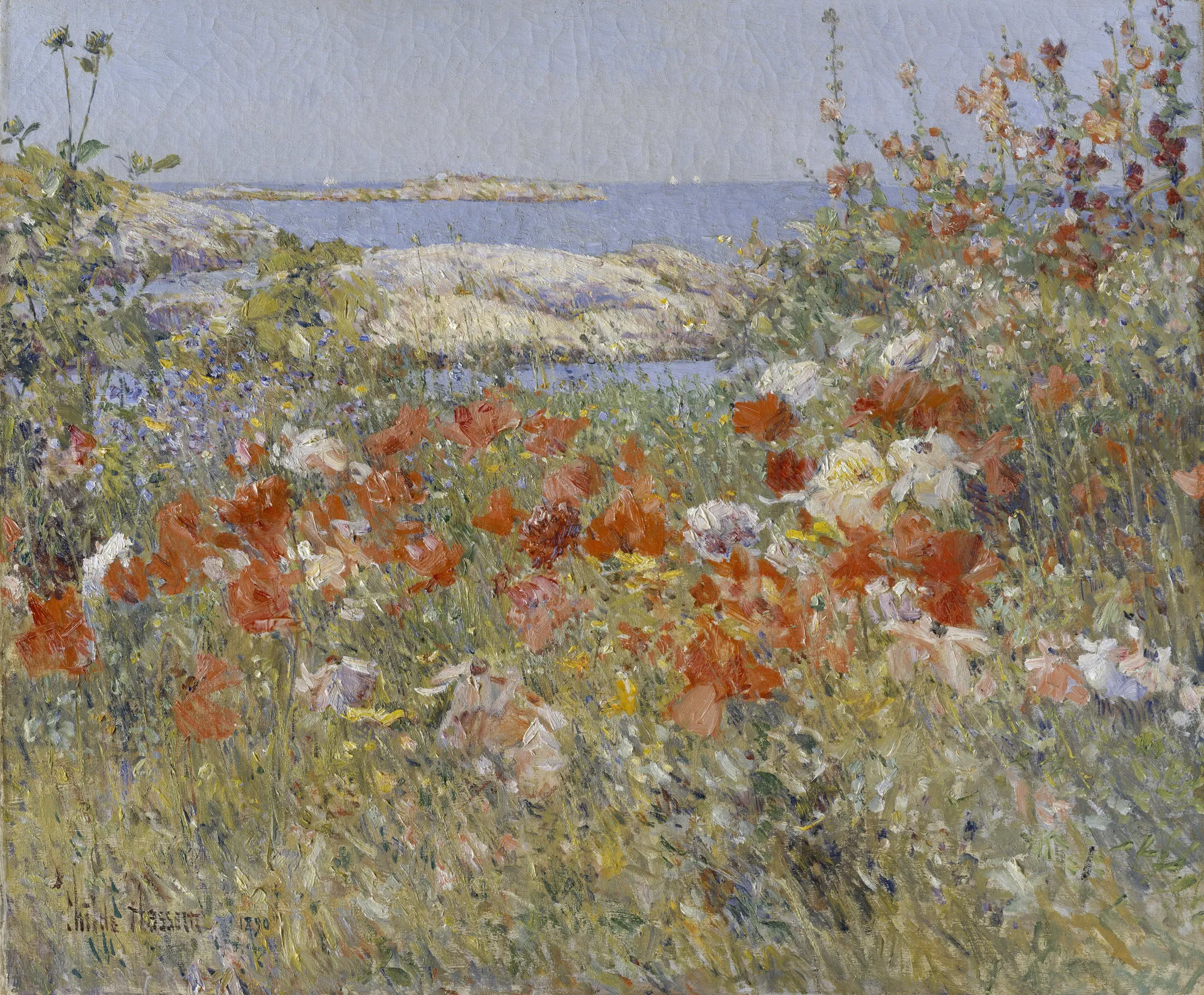 Celia Thaxter's Garden, Isles of Shoals