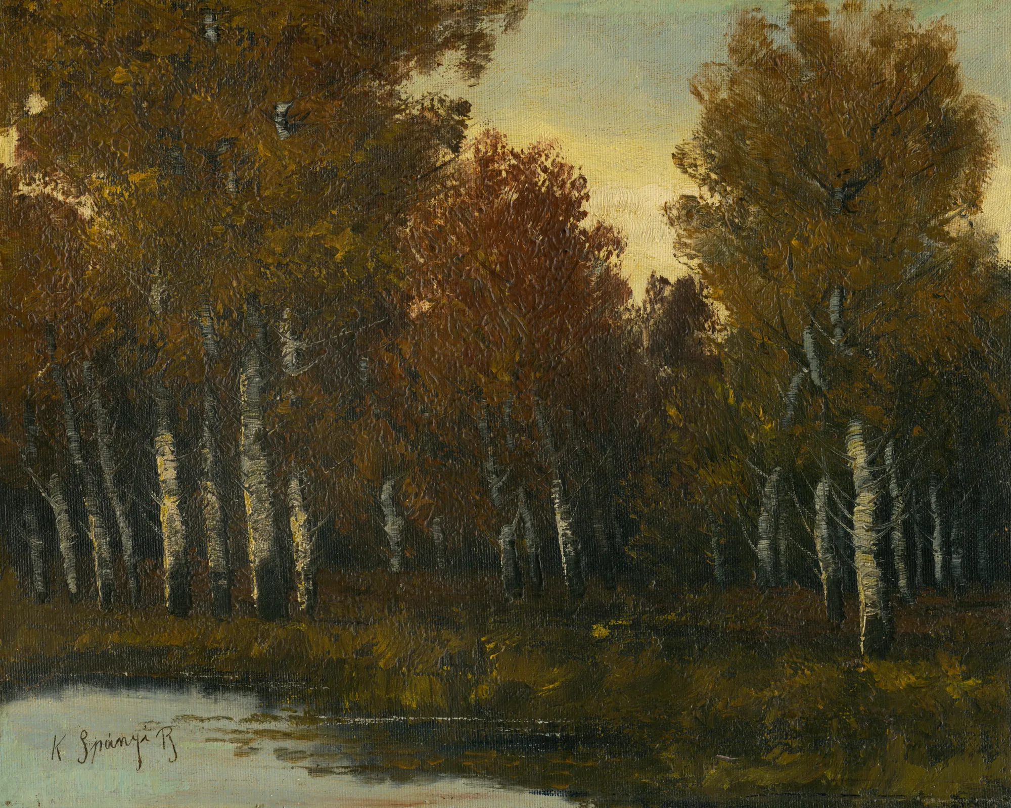 Edge of a Deciduous Forest