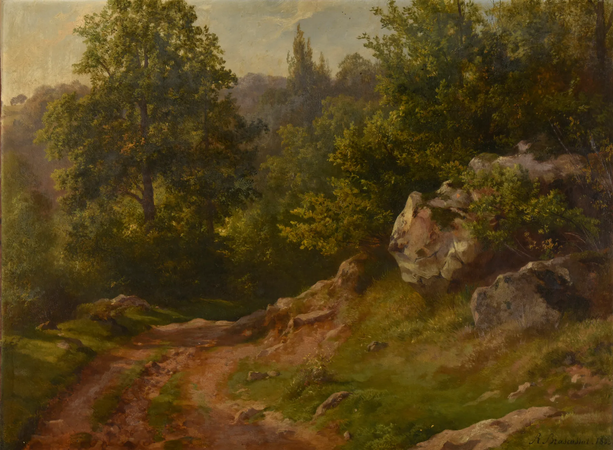 Forest Landscape