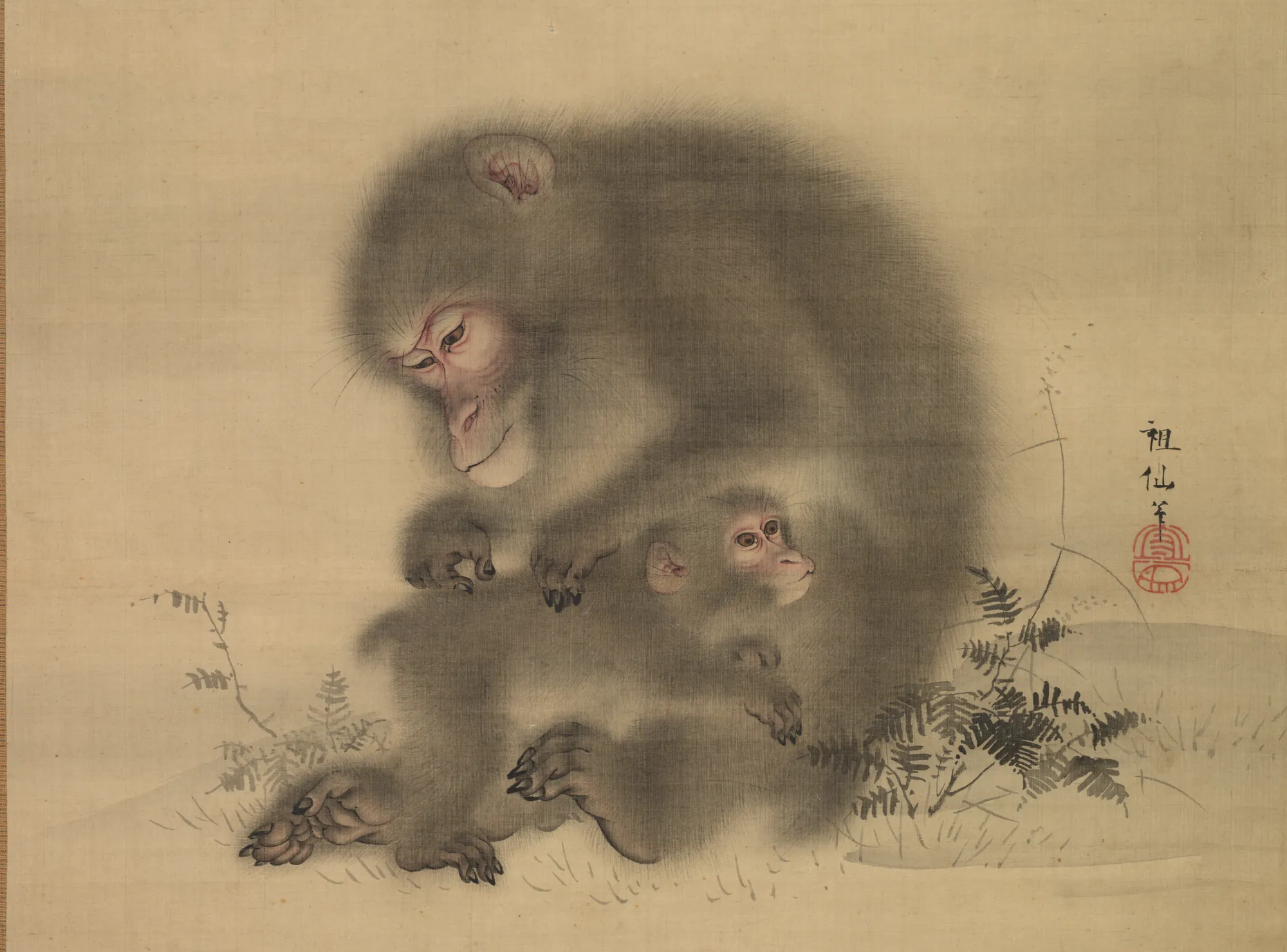 Monkeys
