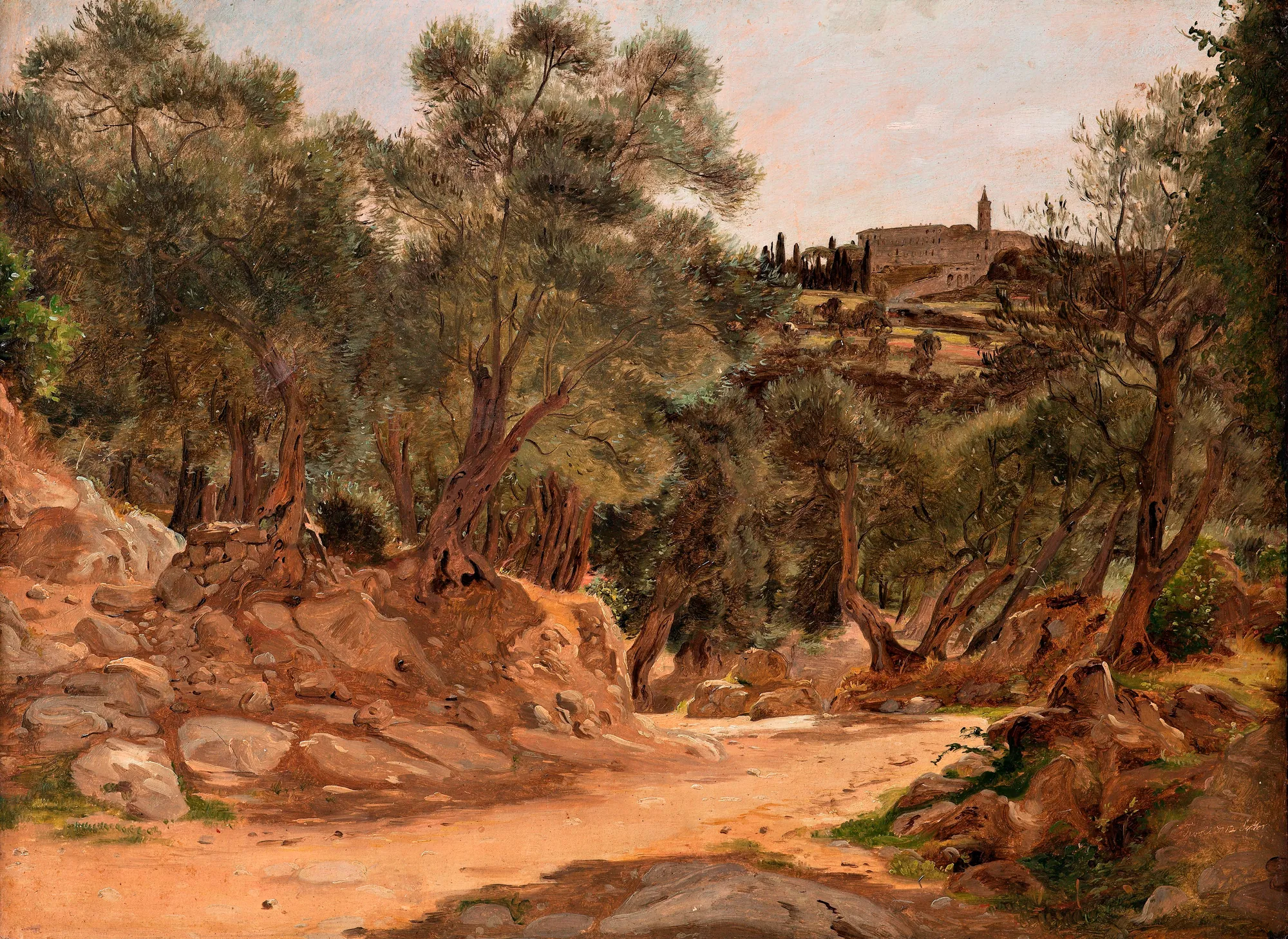 Olive Grove from Tivoli near Rome