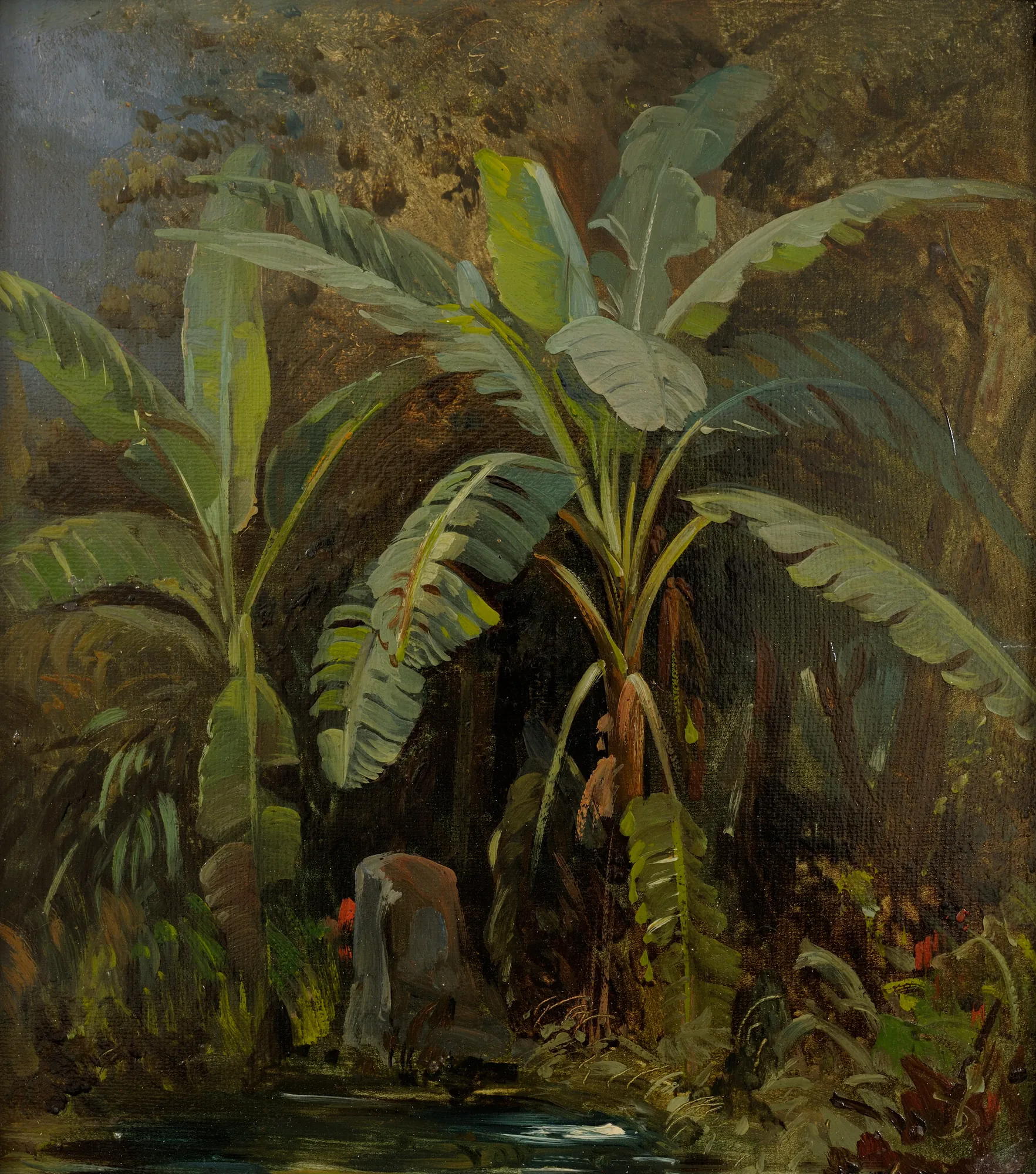 Italian Plants