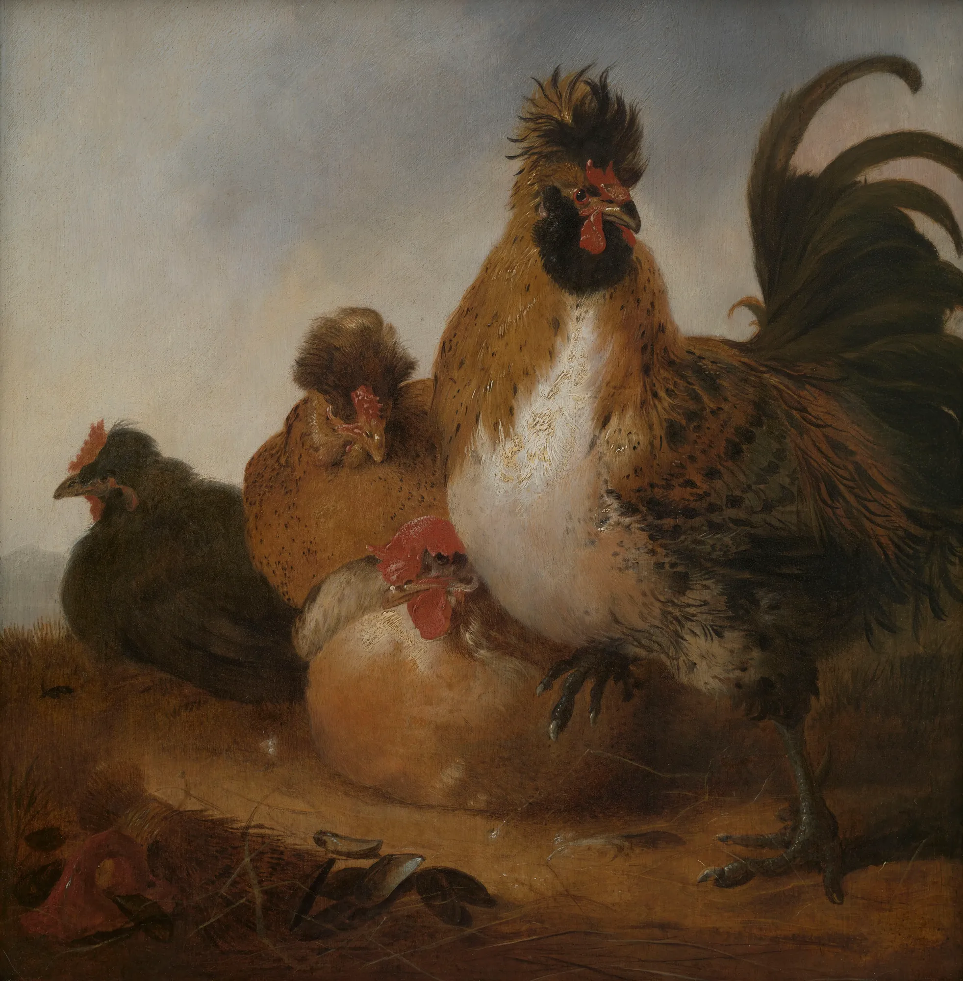 Rooster and Hens