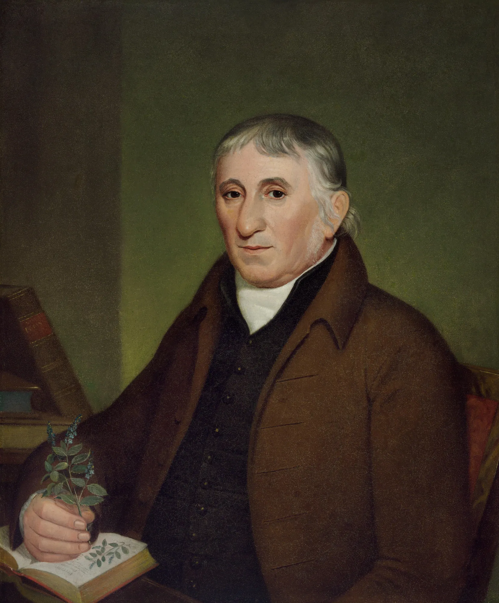 Portrait of Jacob Ritter, Sr. Portrait of Jacob Ritter, Sr. by John Lewis Krimmel. A portrait of an elderly man with graying hair wearing a brown coat and dark vest, holding a botanical sprig over an open book.