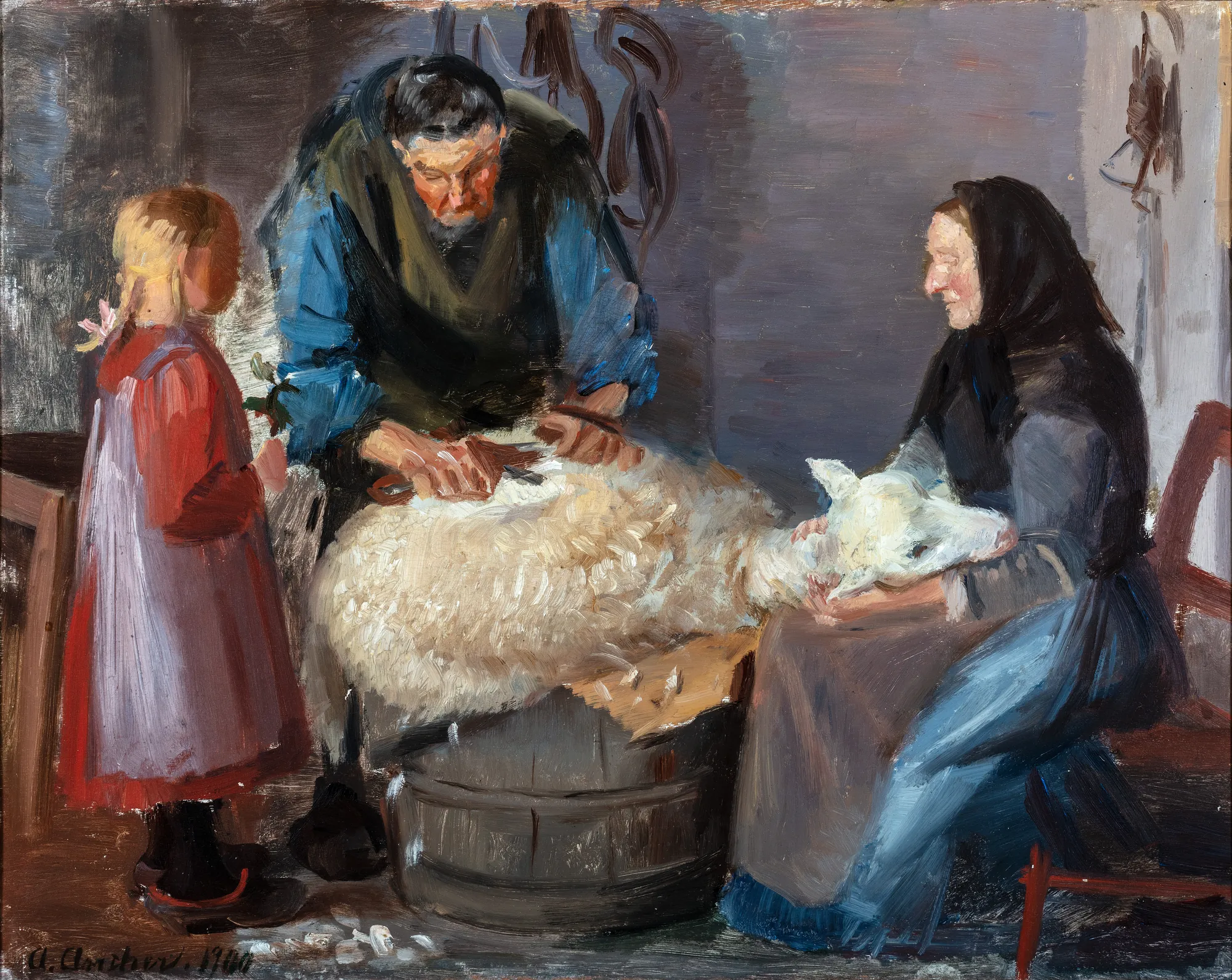 Shearing Sheep