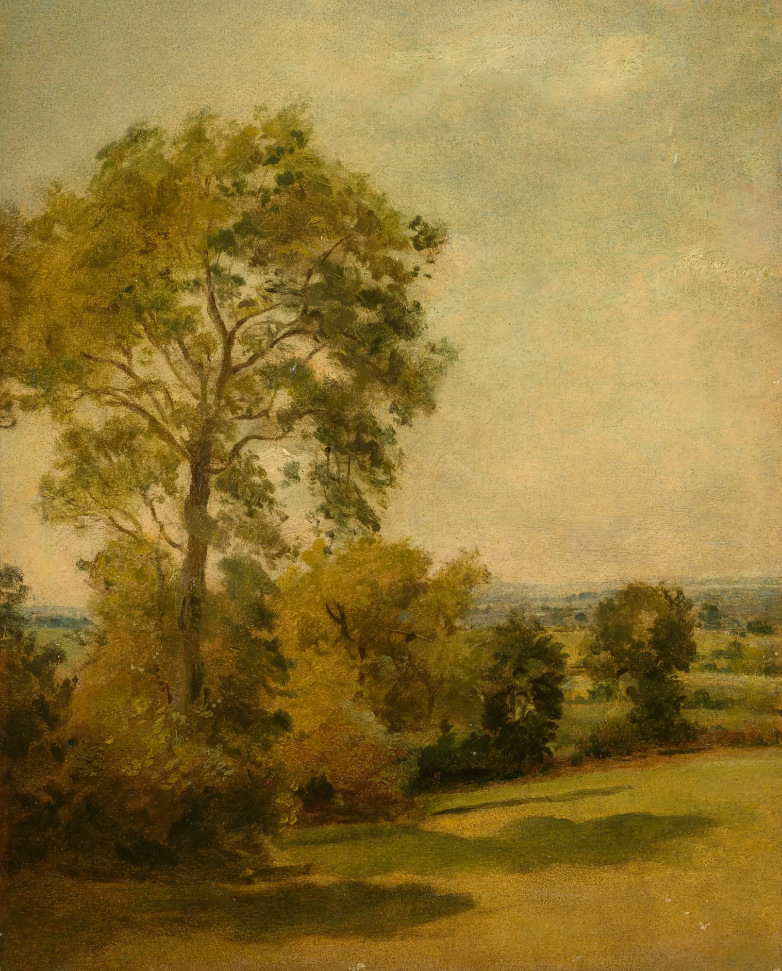 Tree in a Landscape