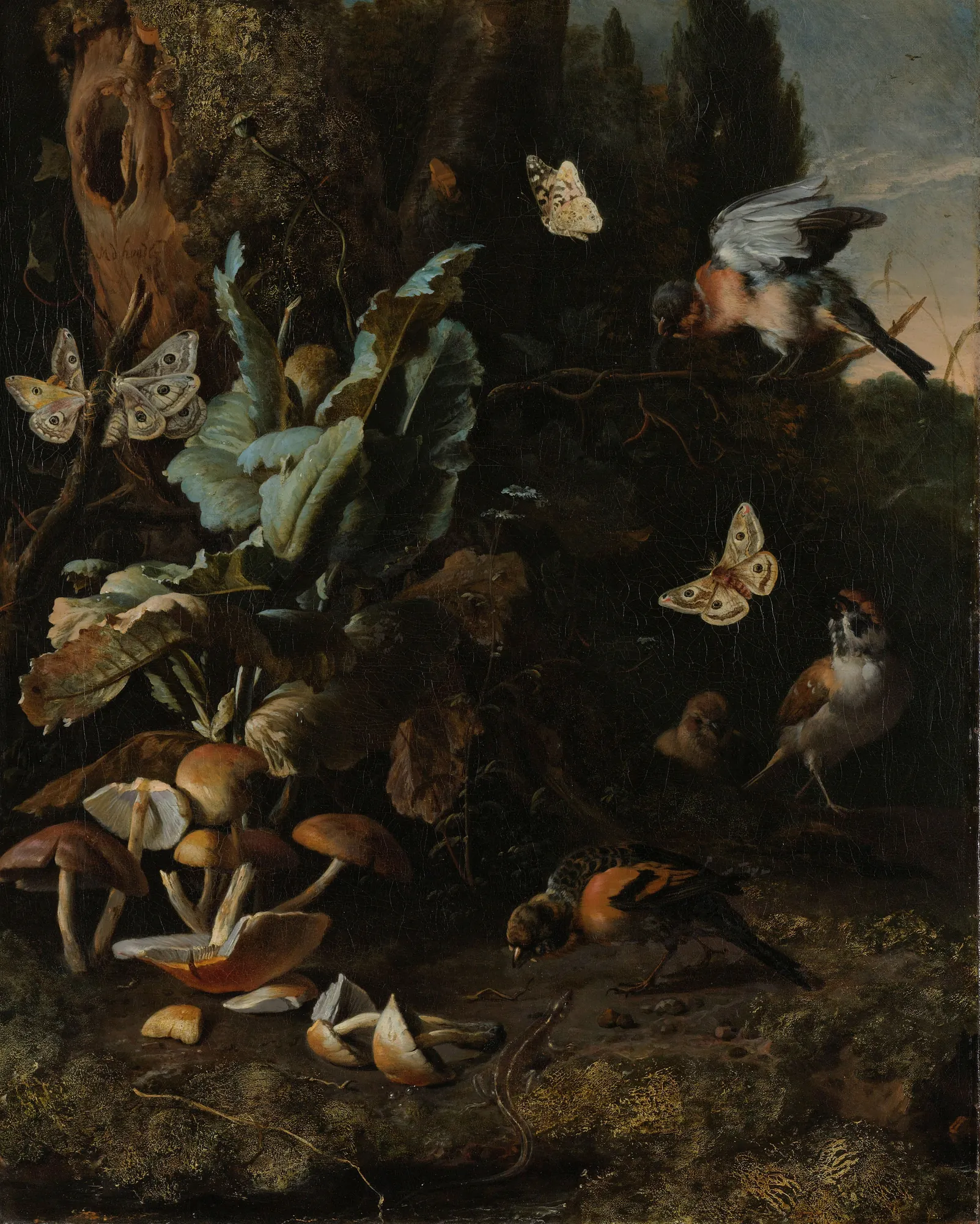 Animals and Plants