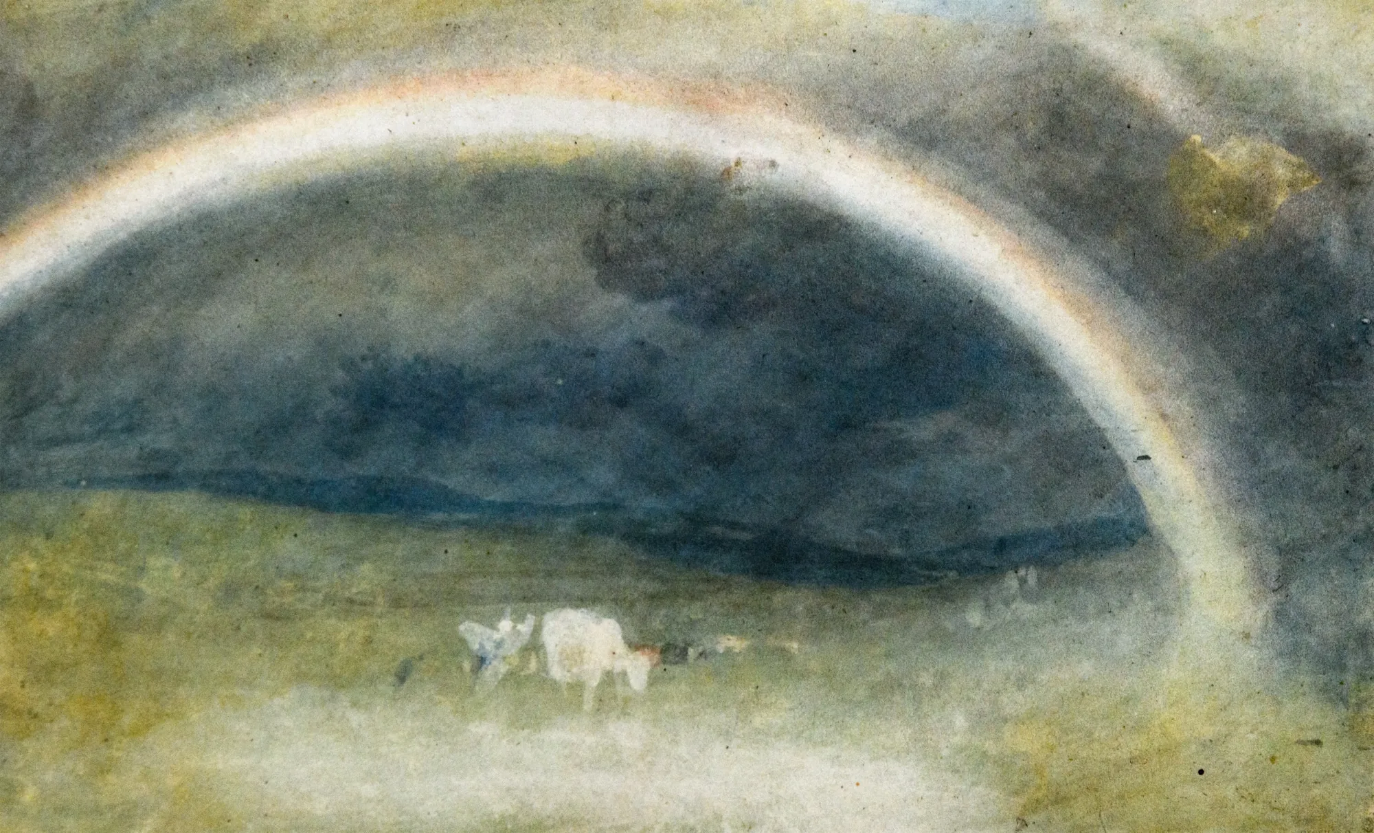 A Rainbow, with Cattle