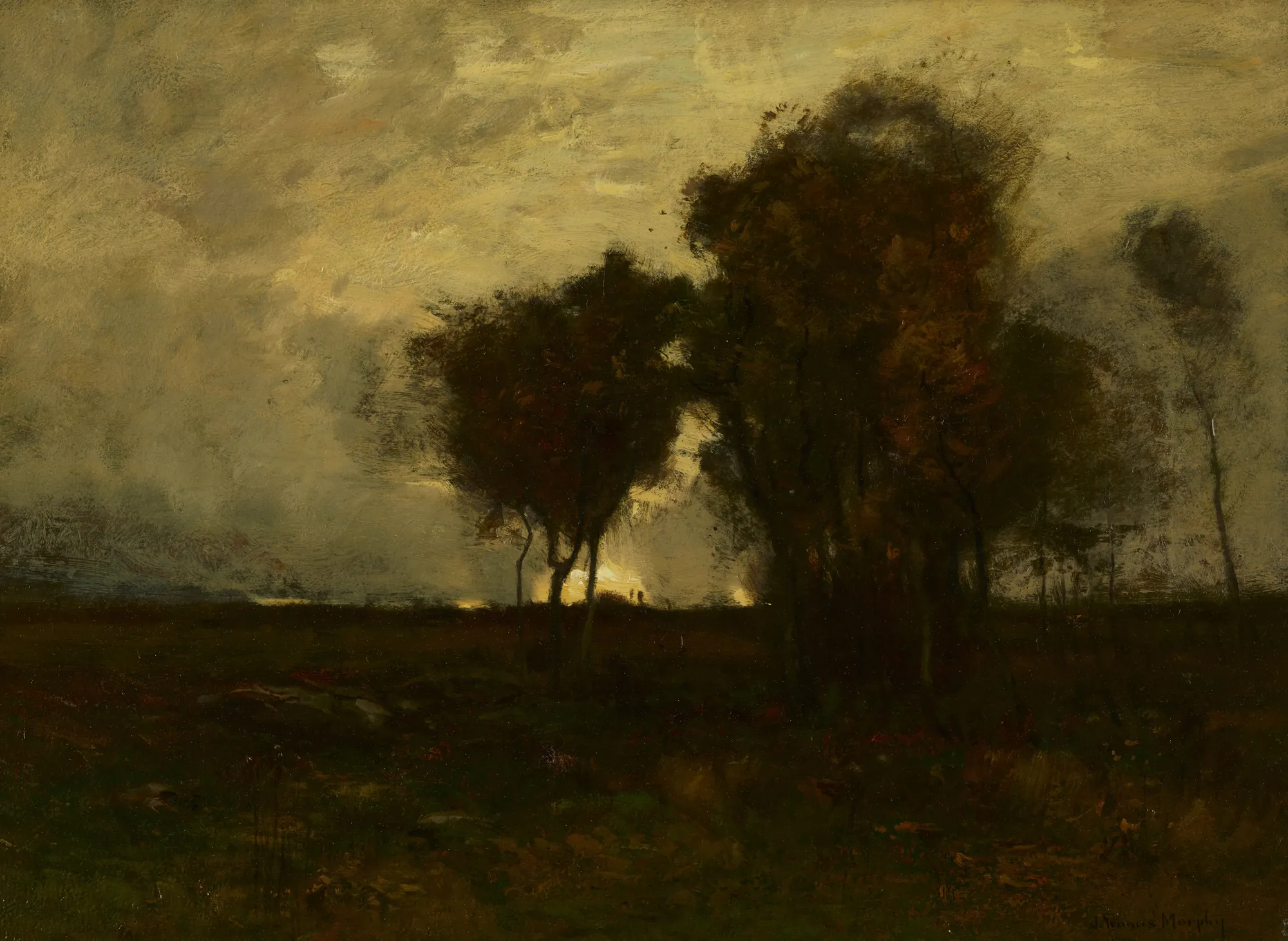 After the Storm