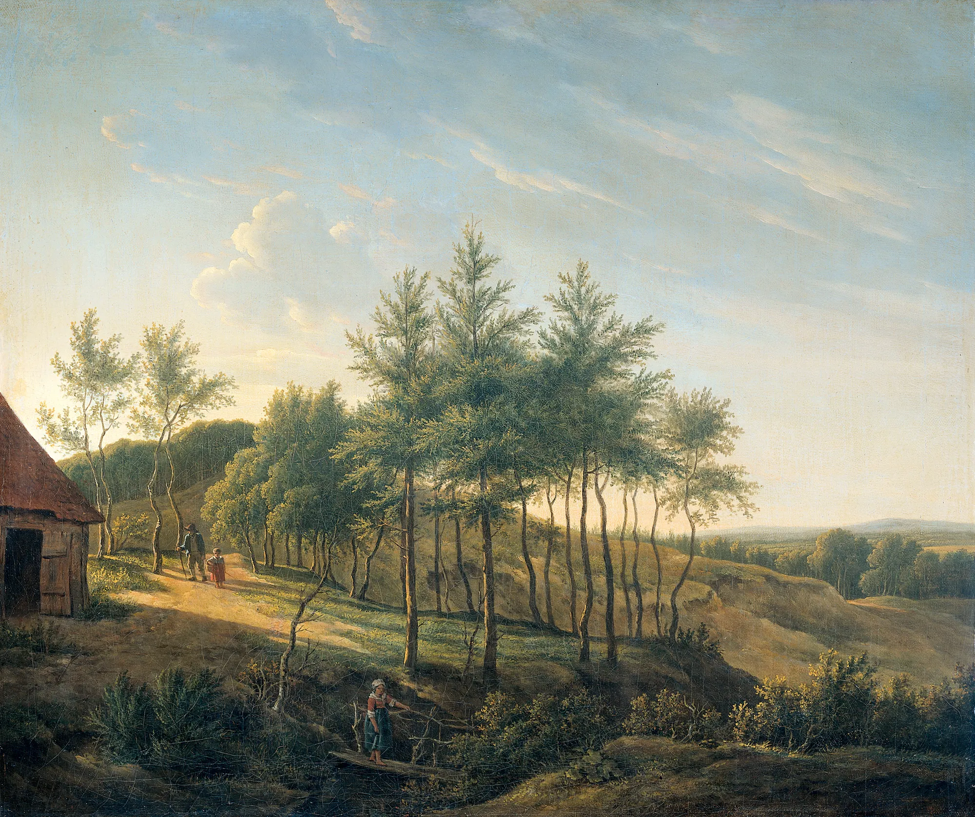 Hilly Landscape