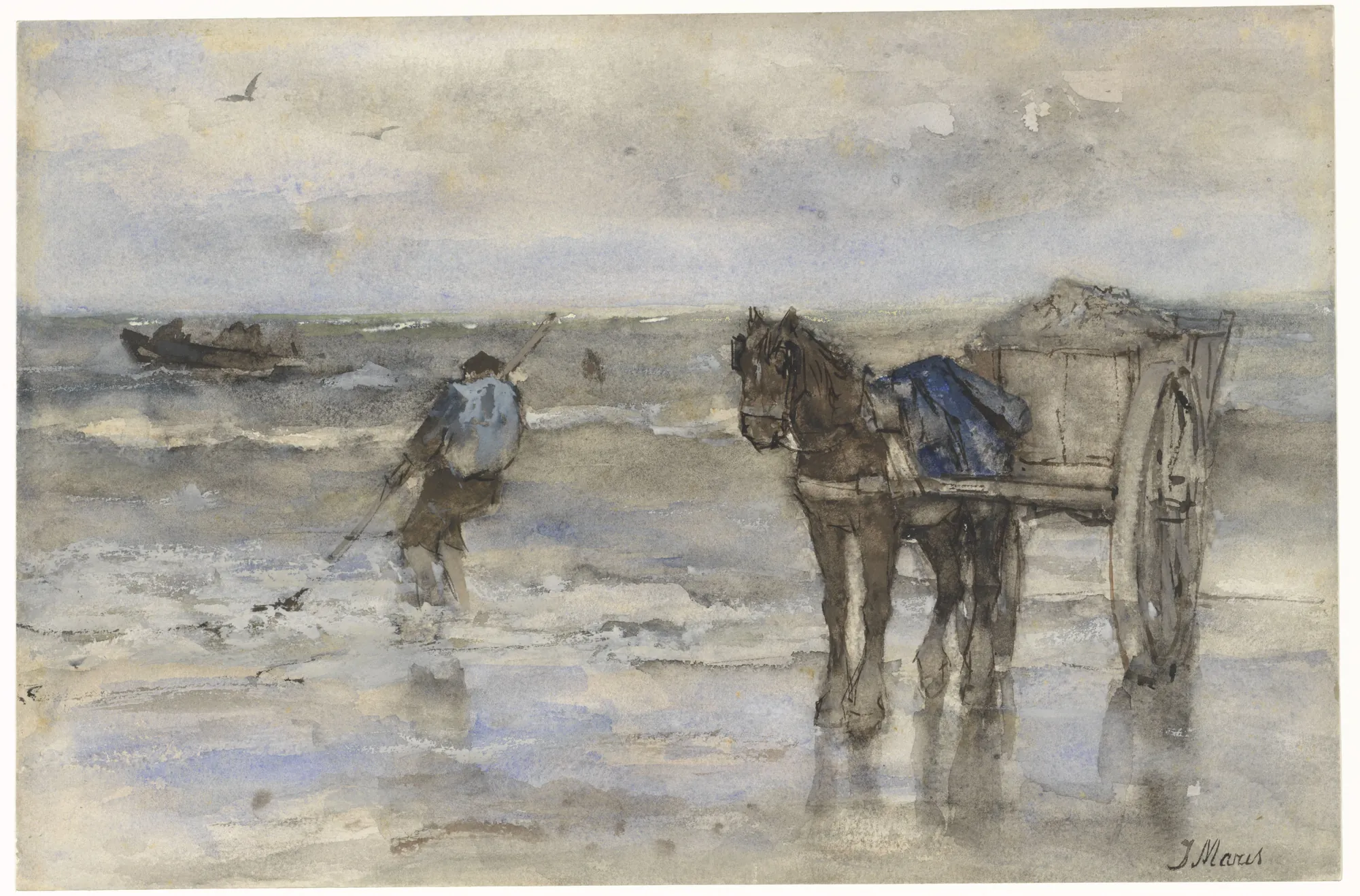 Shell Fisher on the Beach