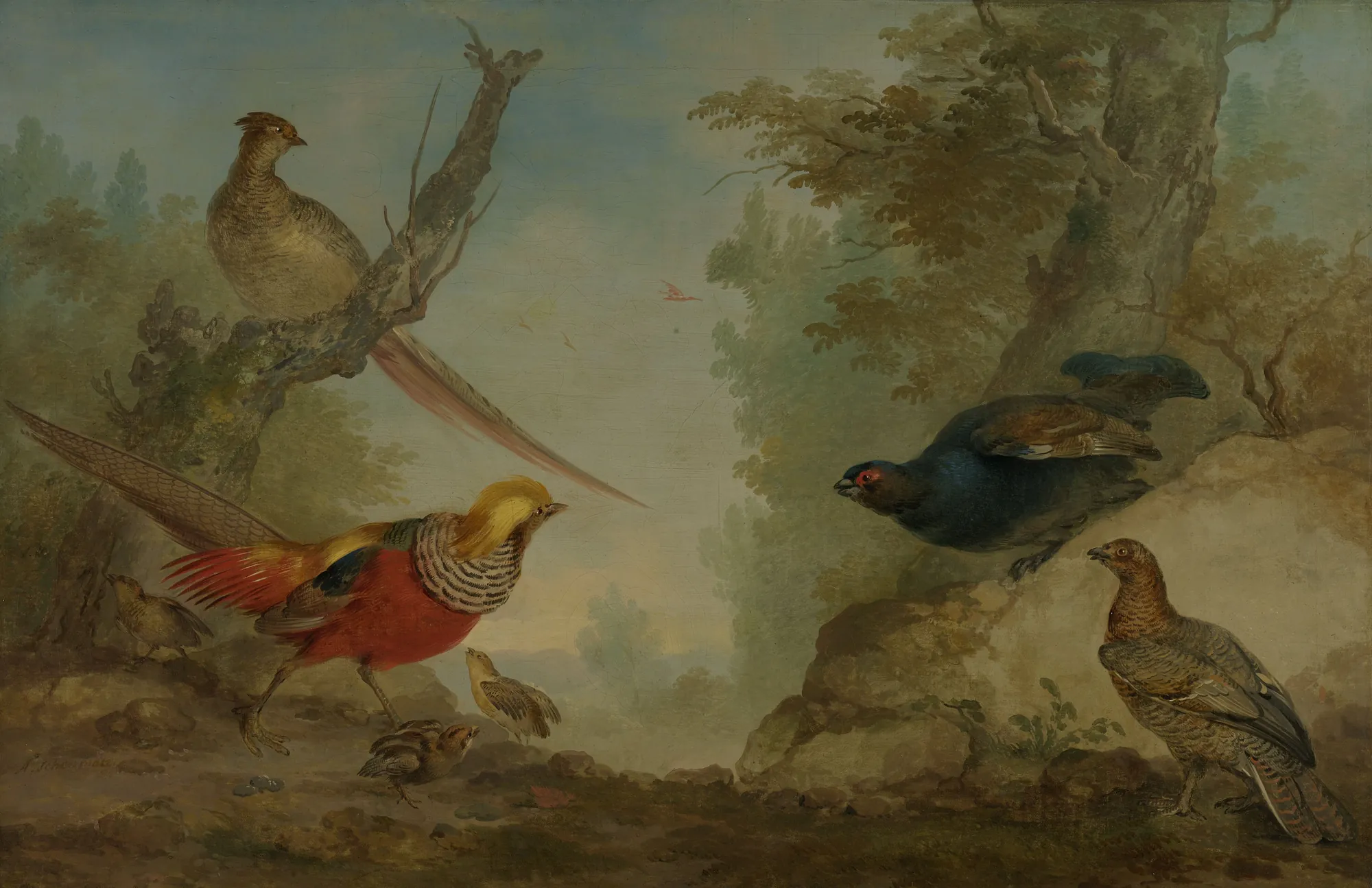 Pheasants