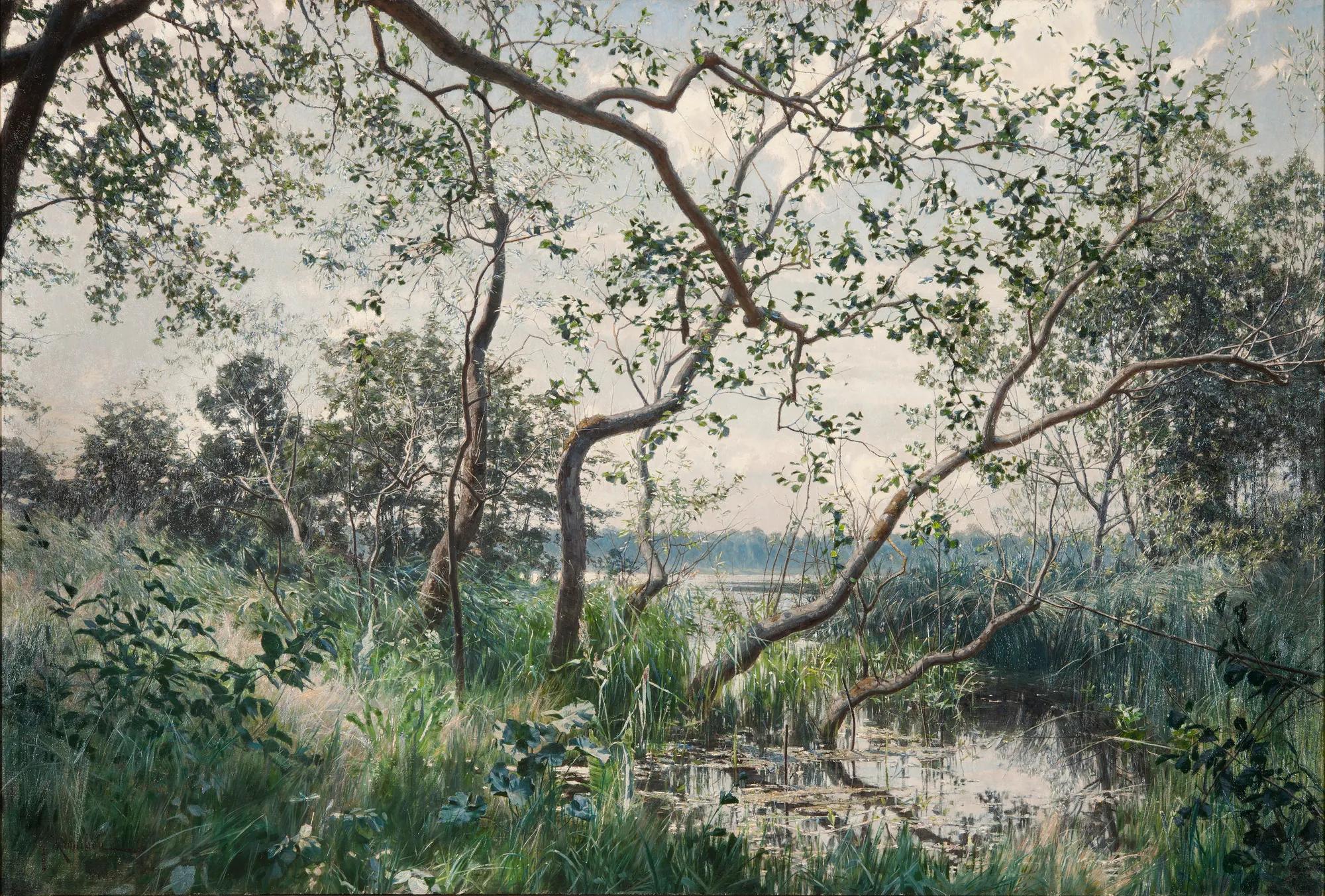 Water Vegetation: Motif from Östergötland