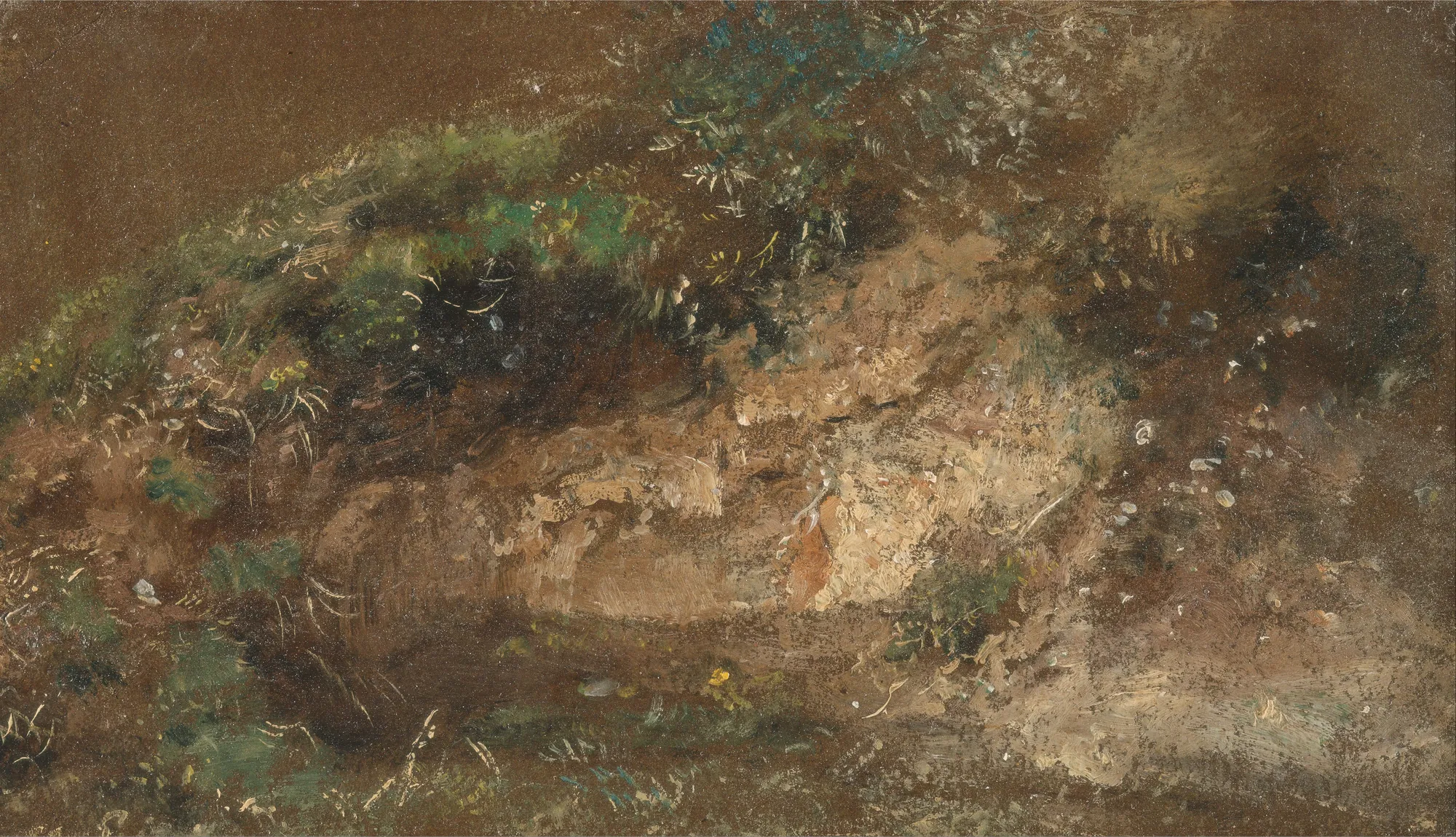Undergrowth