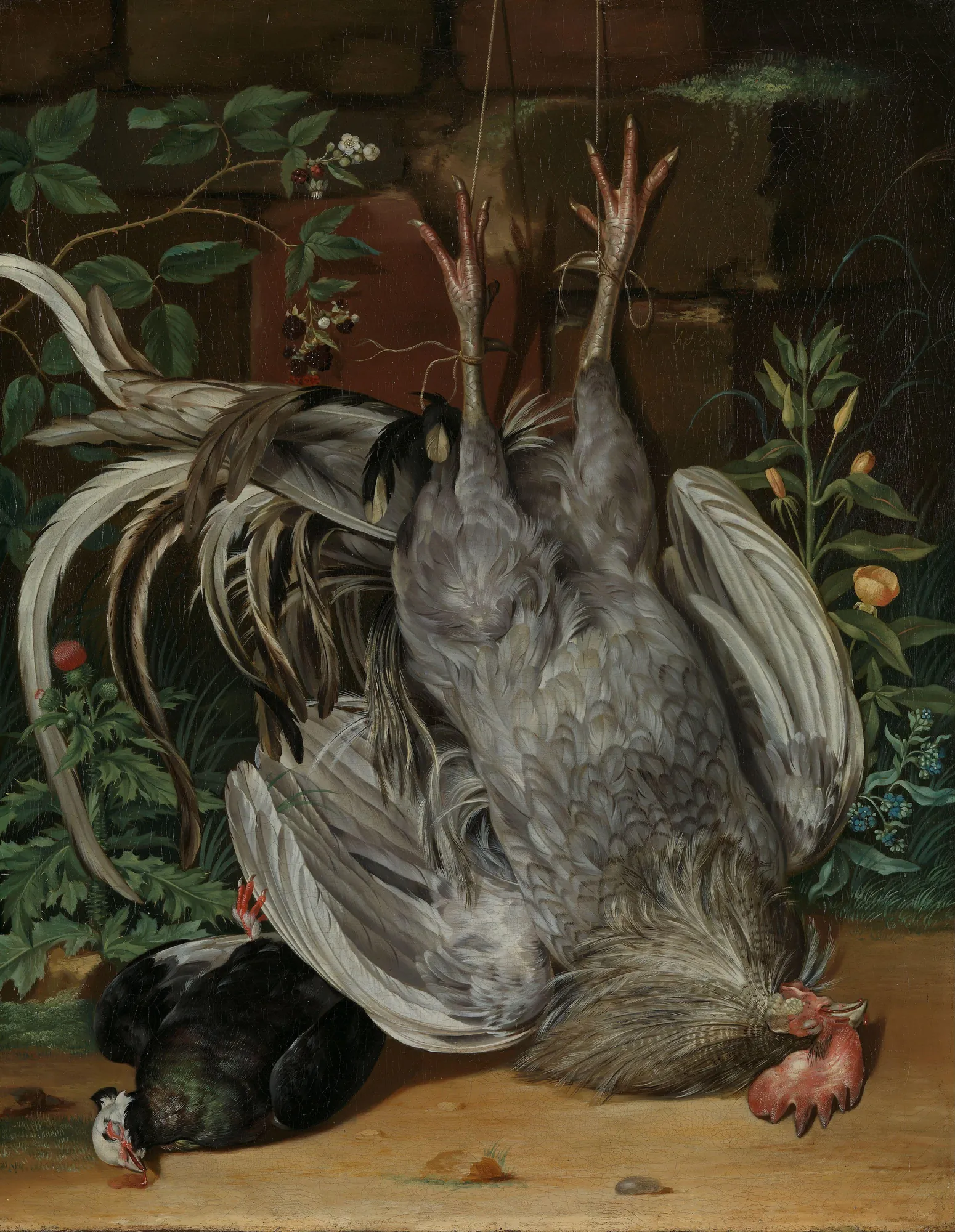Dead Birds Dead Birds by Anton Friedrich Harms. An 18th-century oil painting depicting a large grey-feathered rooster hanging by its feet alongside a smaller black bird on the ground, surrounded by wild thistles and blackberries.