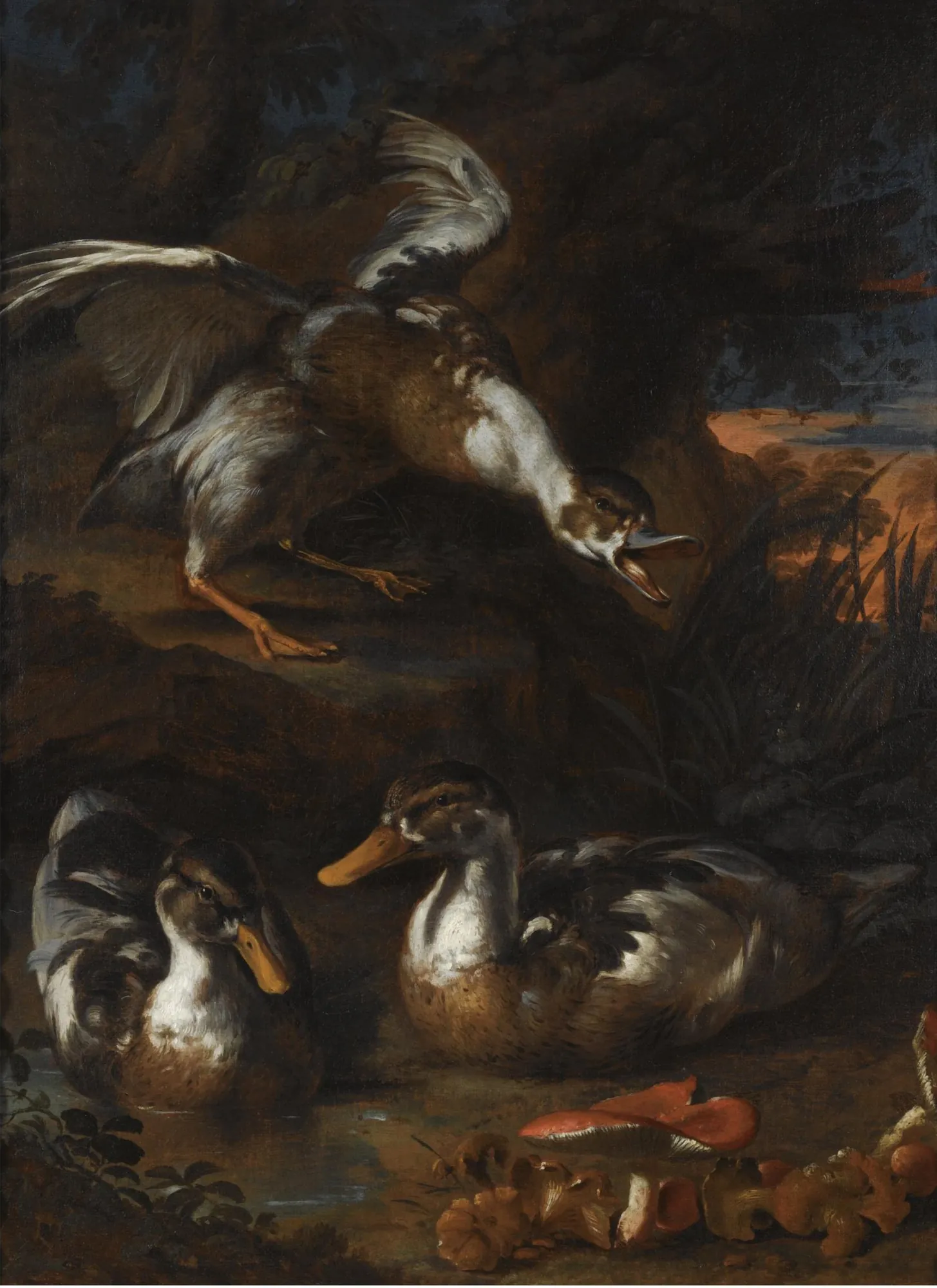 Three Ducks in a Wooded Landscape