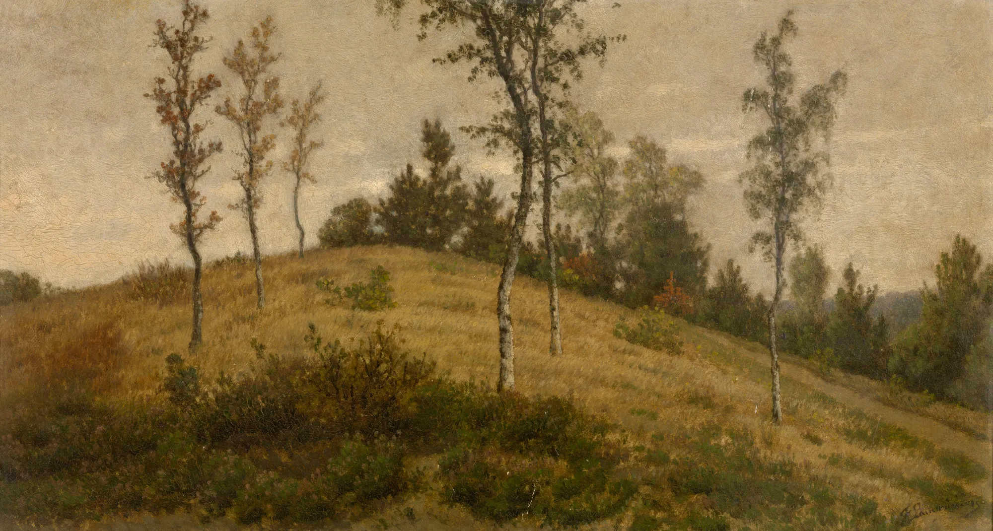 A View of Putte