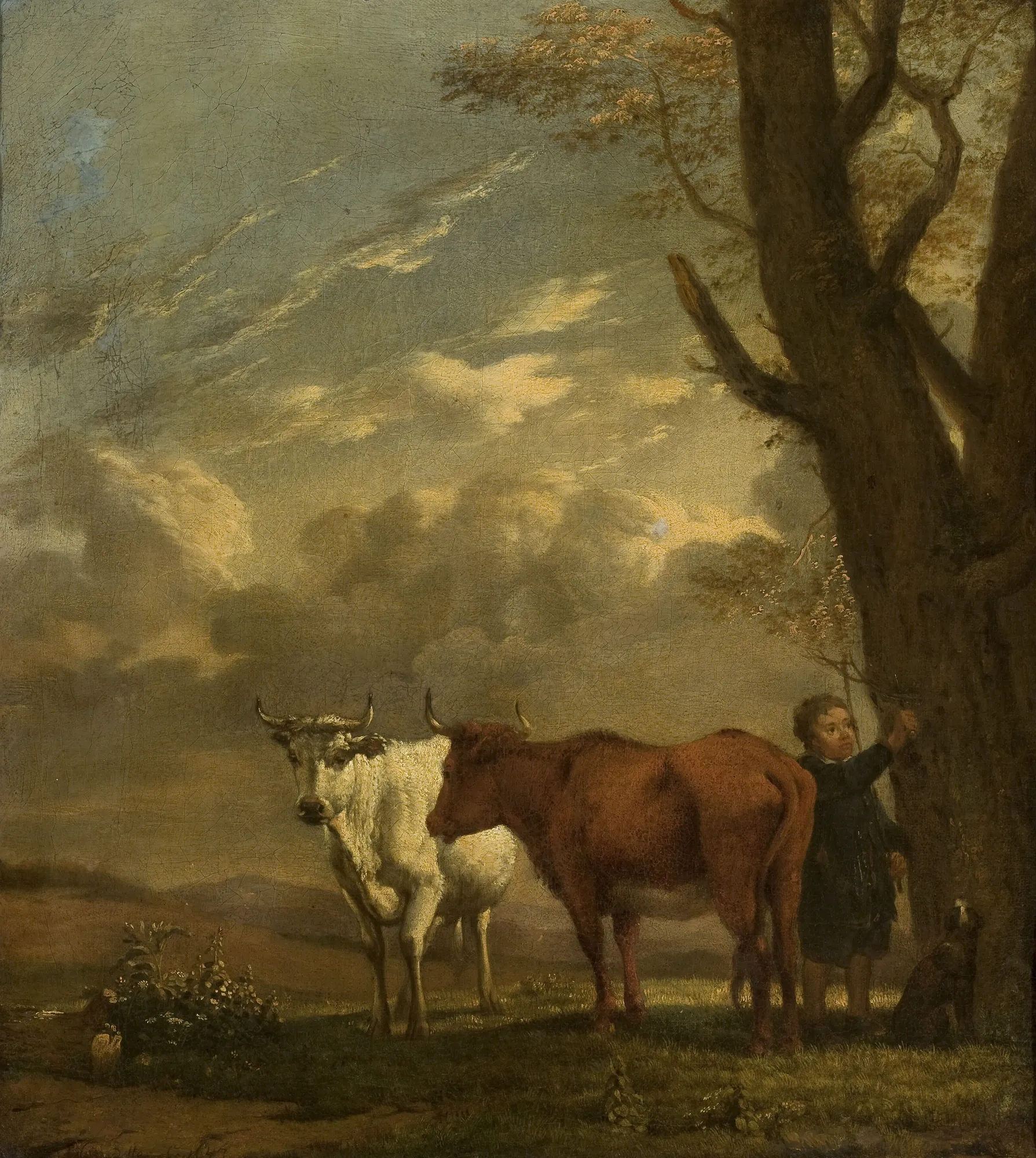 Cowherd