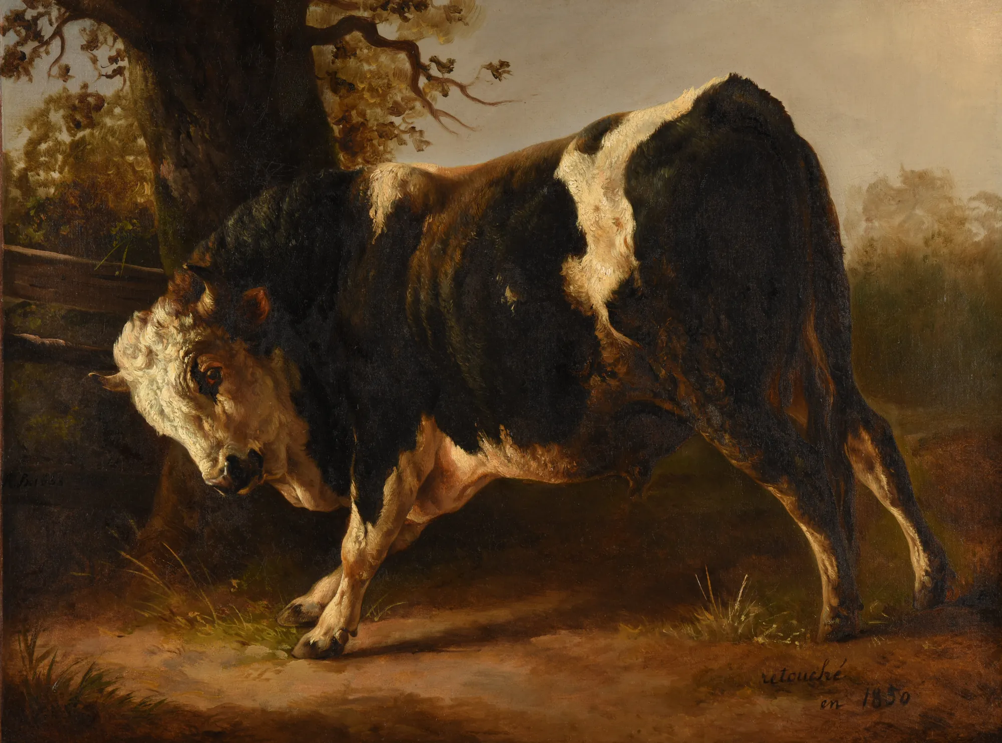 Angry Bull