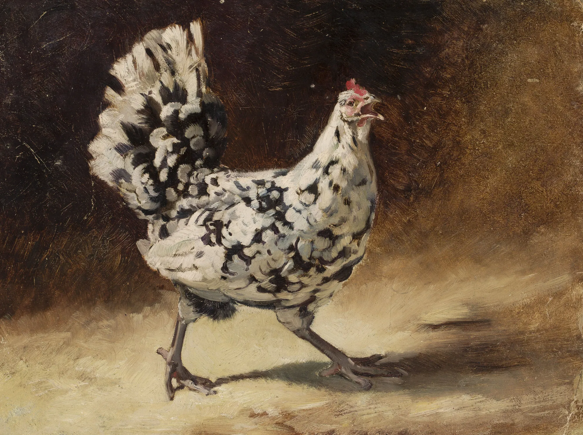 A Hen