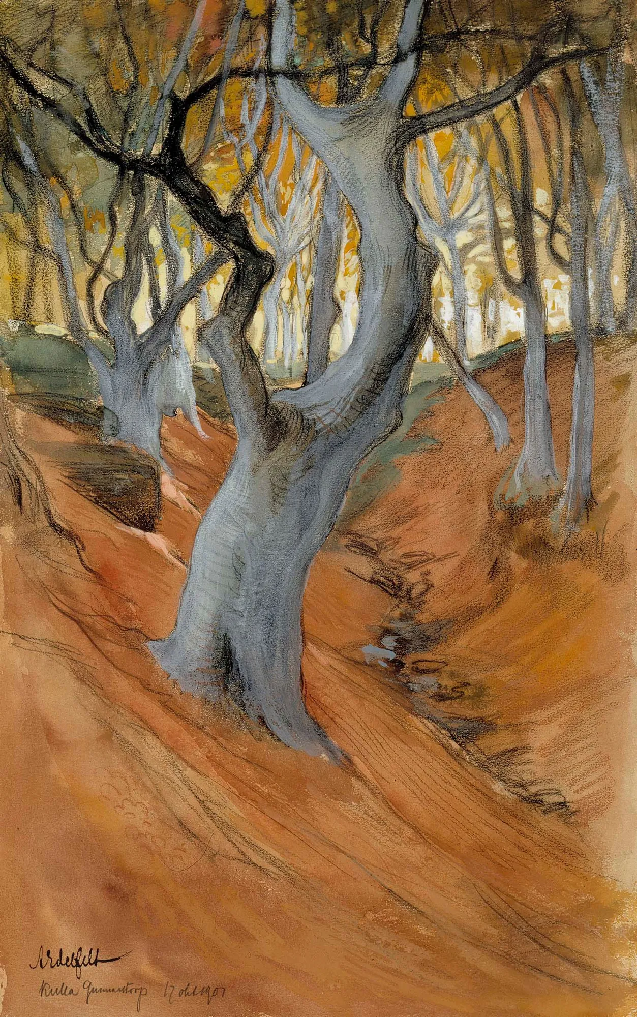 Beech Forest (Pyökkimetsää)