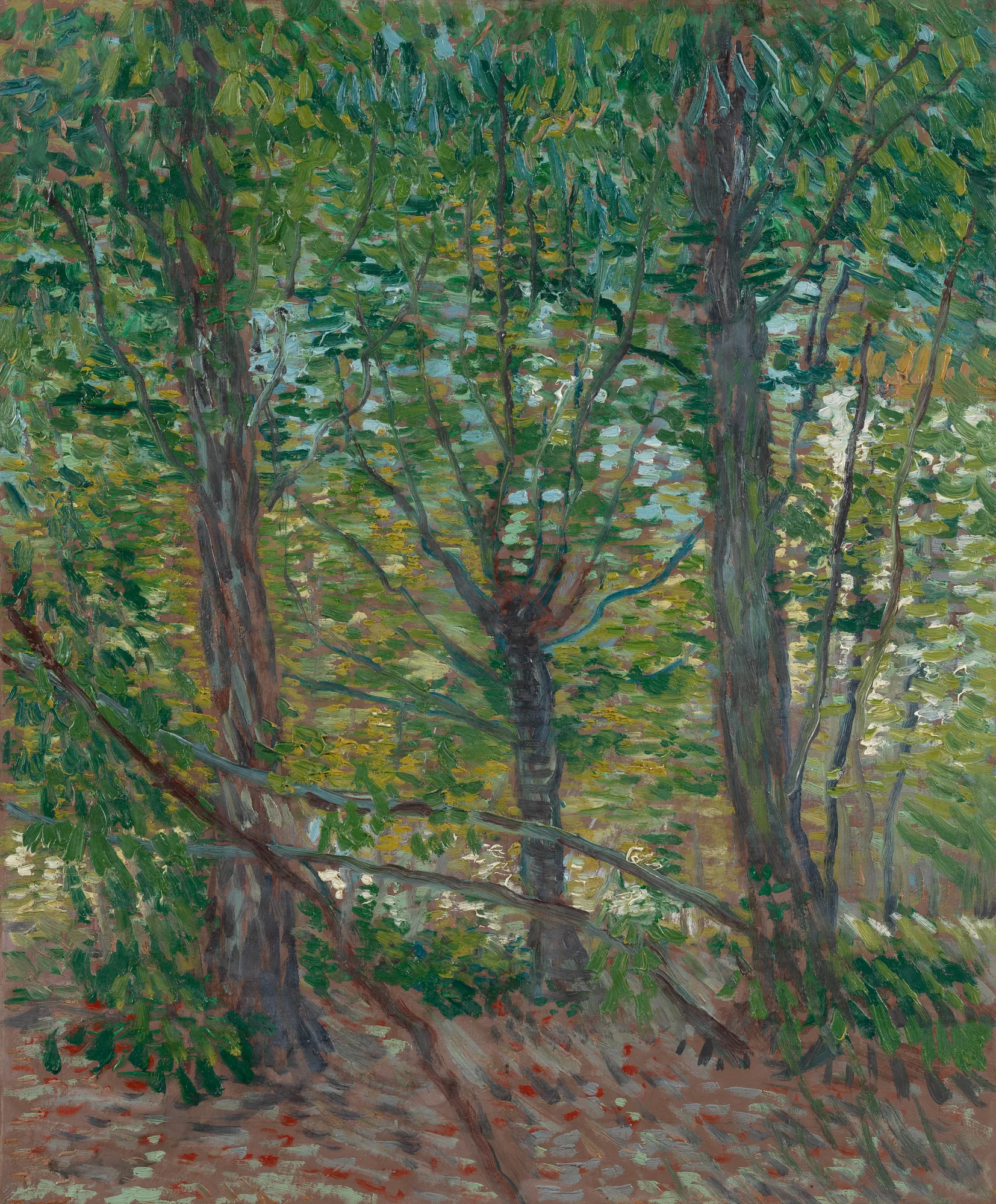 Trees