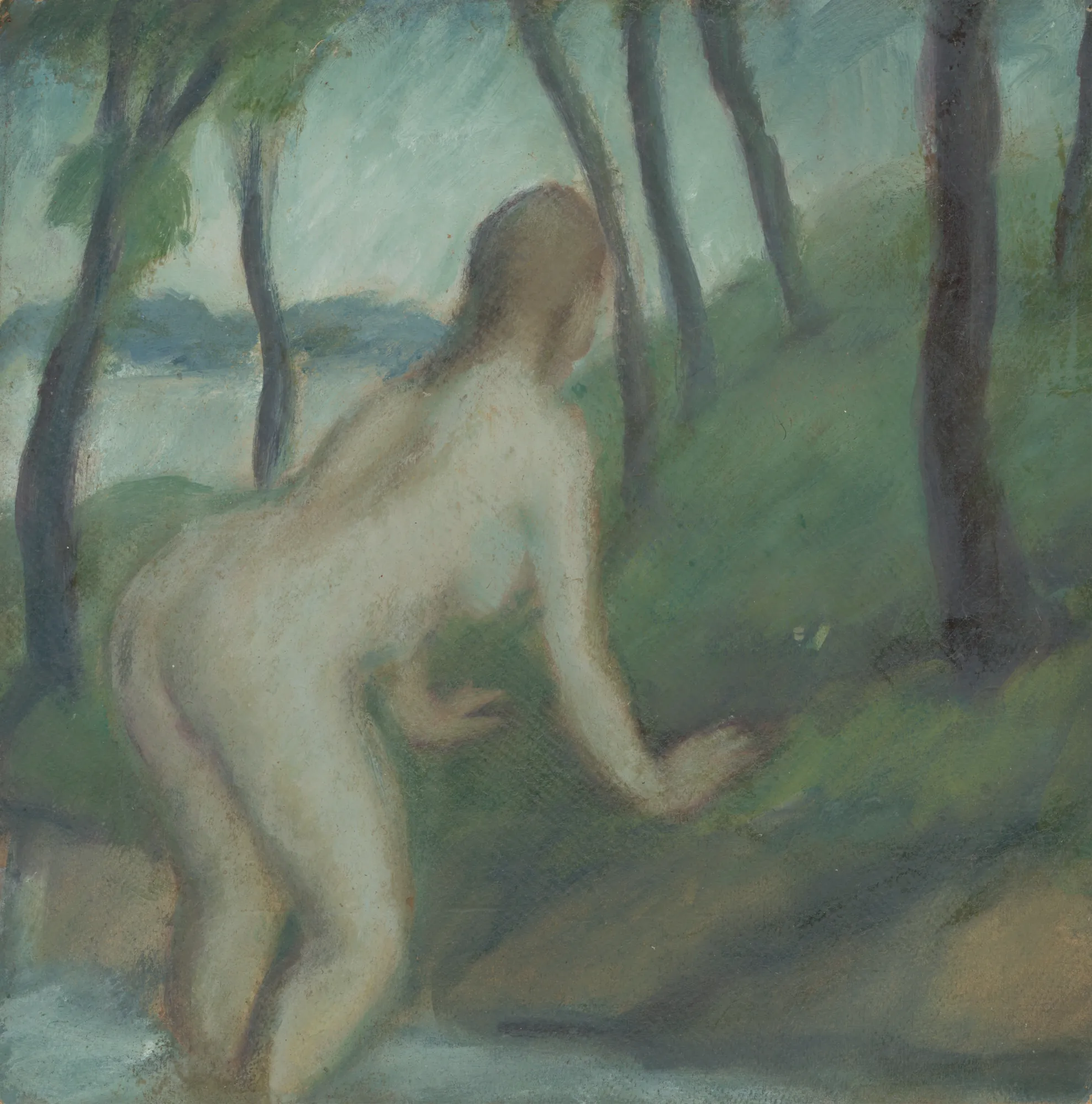 Nude in a Landscape (Akt v krajine)