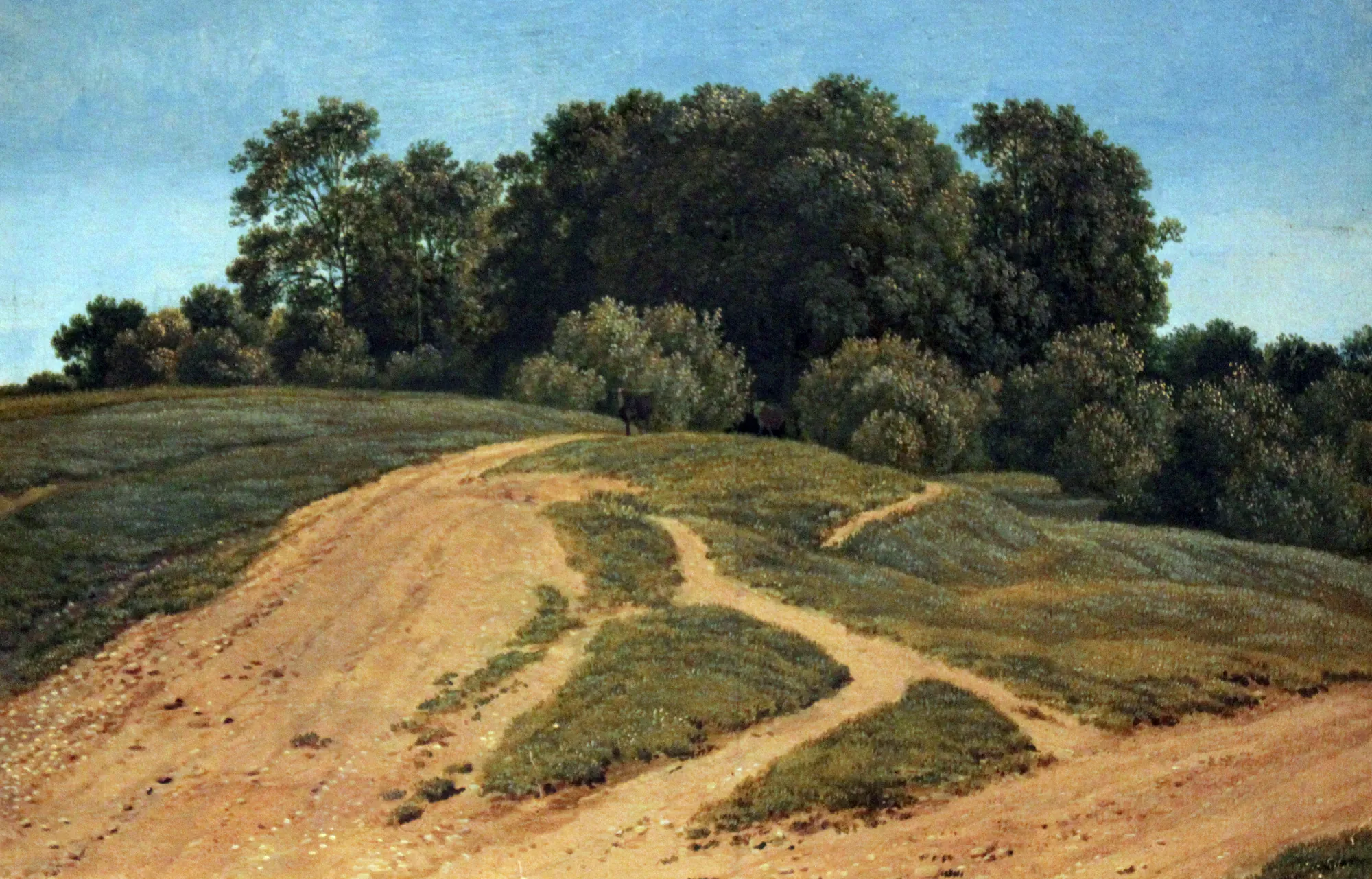 Country Lane