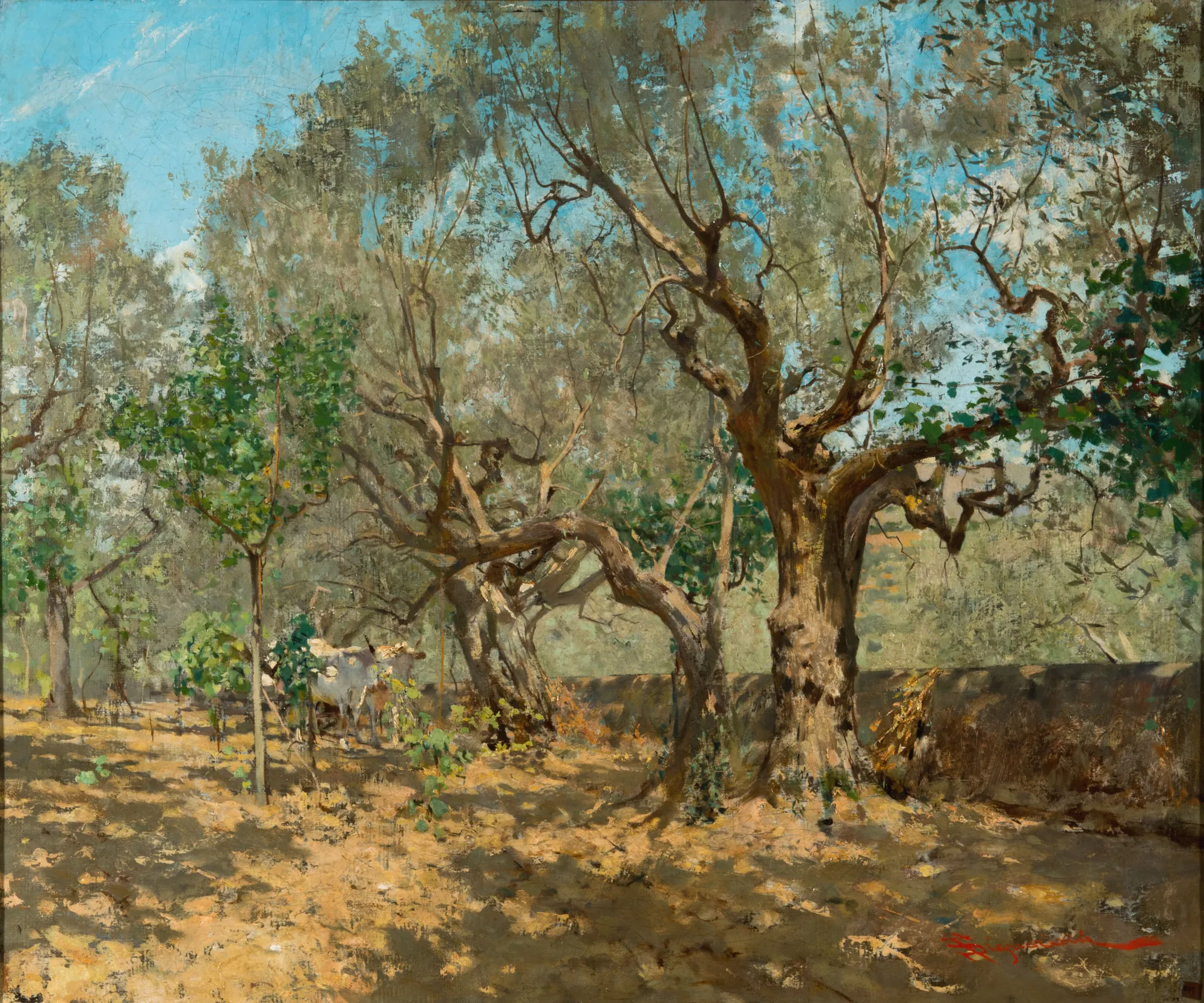 Among the Olive Trees in Settignano