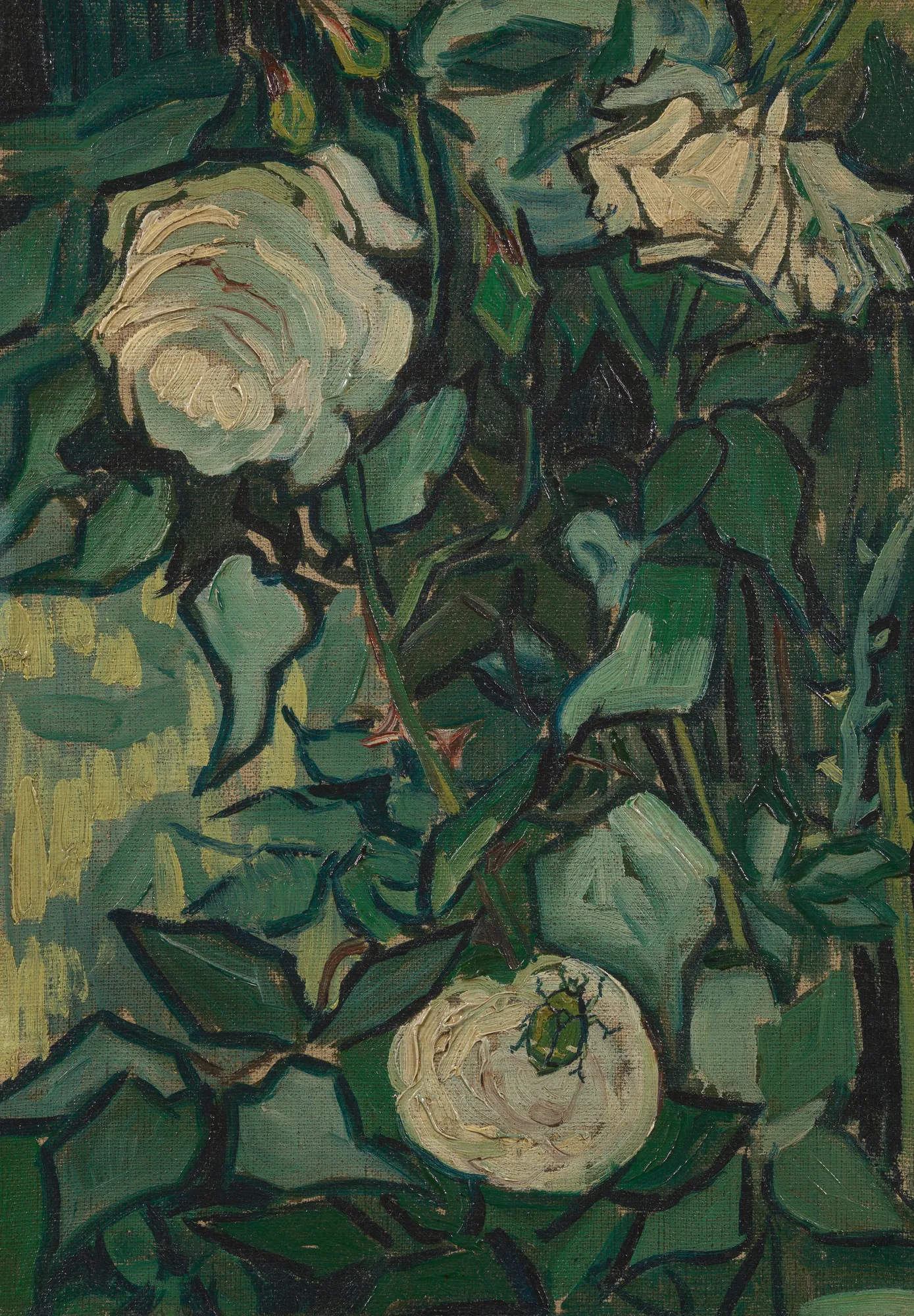 Roses