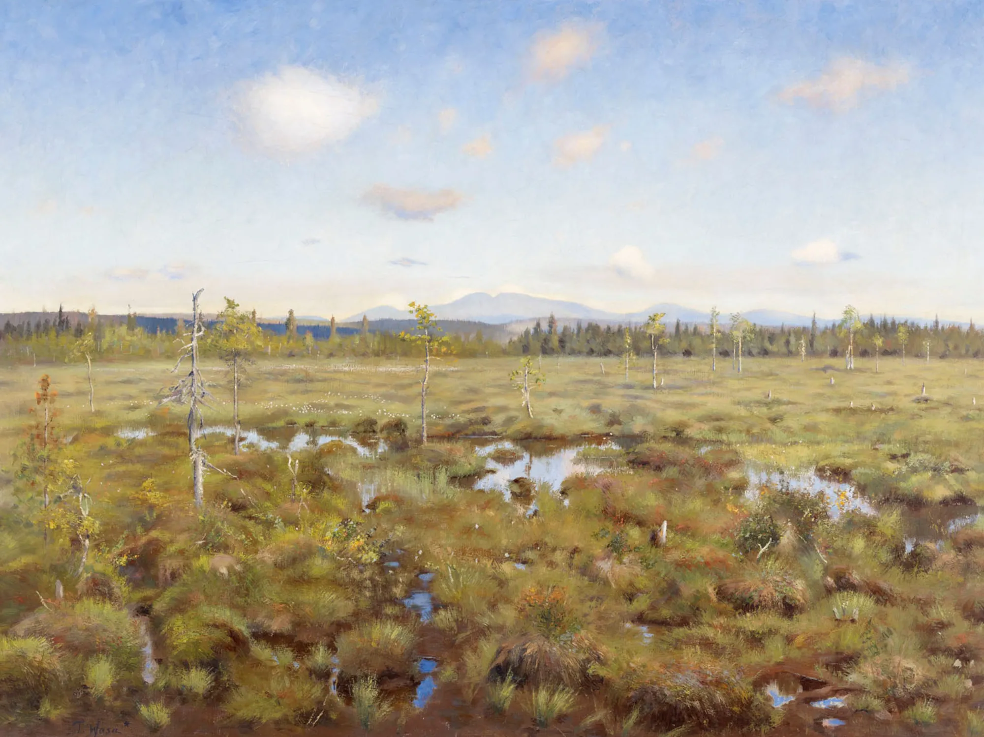 Landscape from Lapland