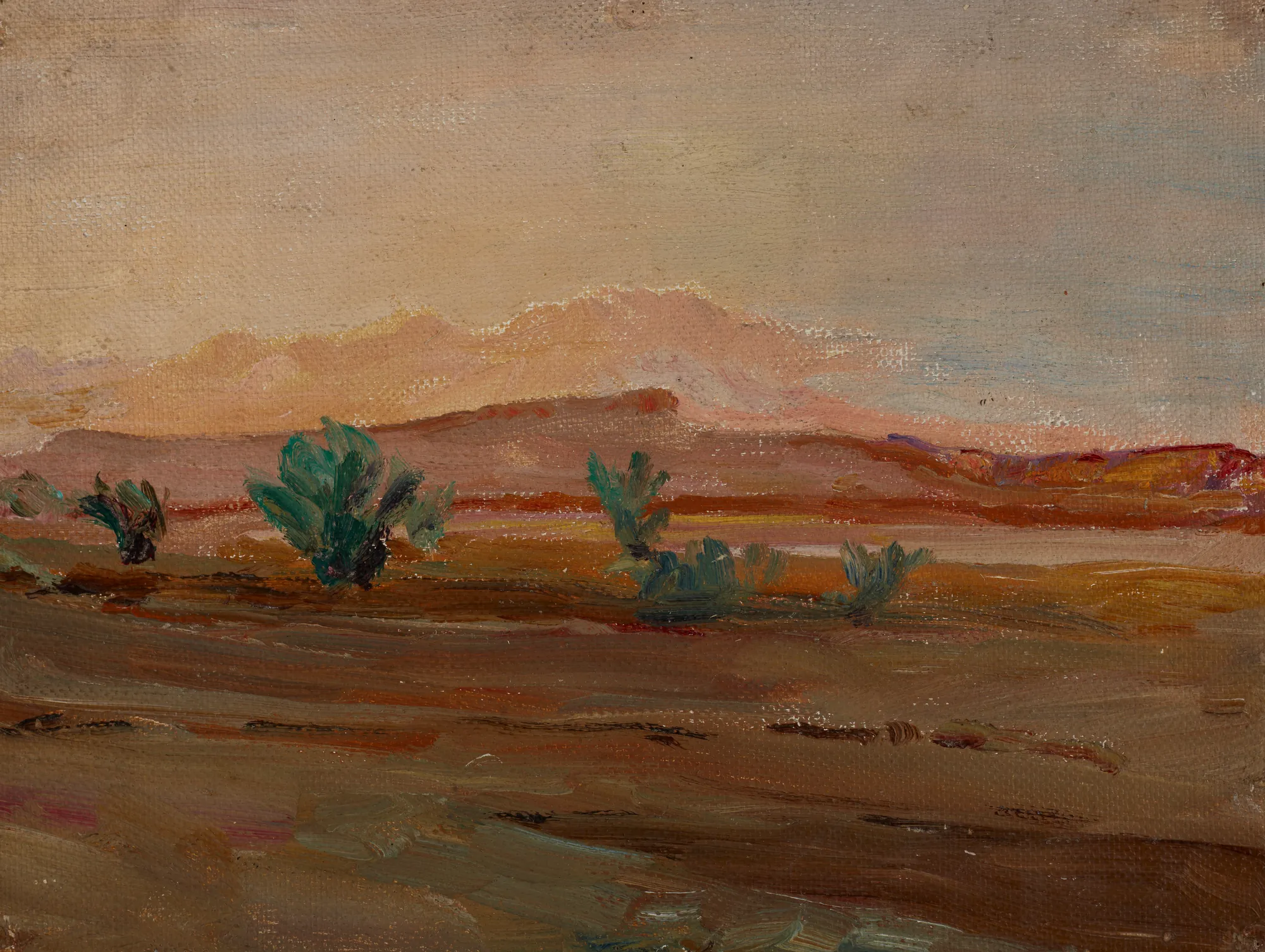 Sahara (Desert after a Rain) Sahara (Desert after a Rain) by Jan Ciągliński. A low-angle landscape study of the Sahara desert under a hazy, warm sky with scattered green shrubs in the mid-ground.
